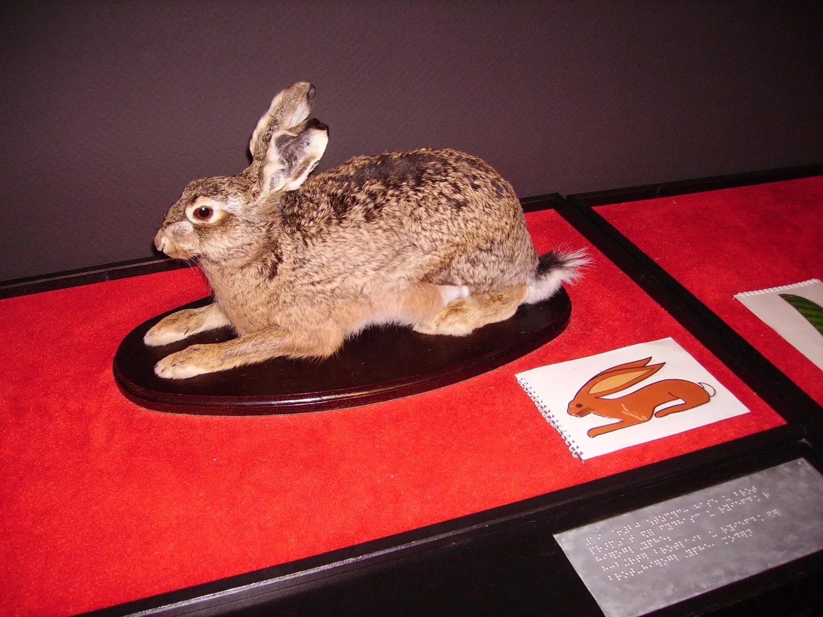 Musée historique du Palatinat