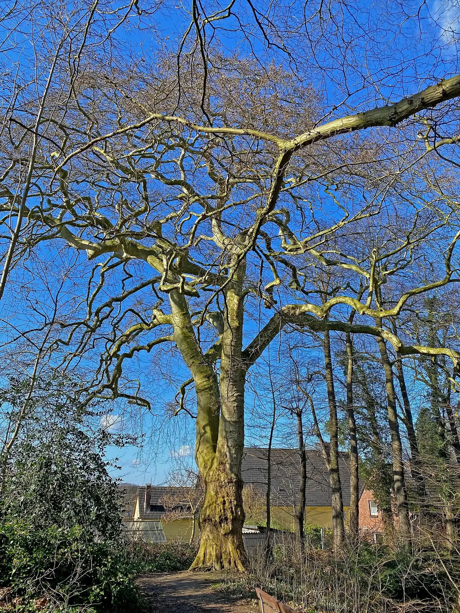 Museum für Ur- und Frühgeschichte