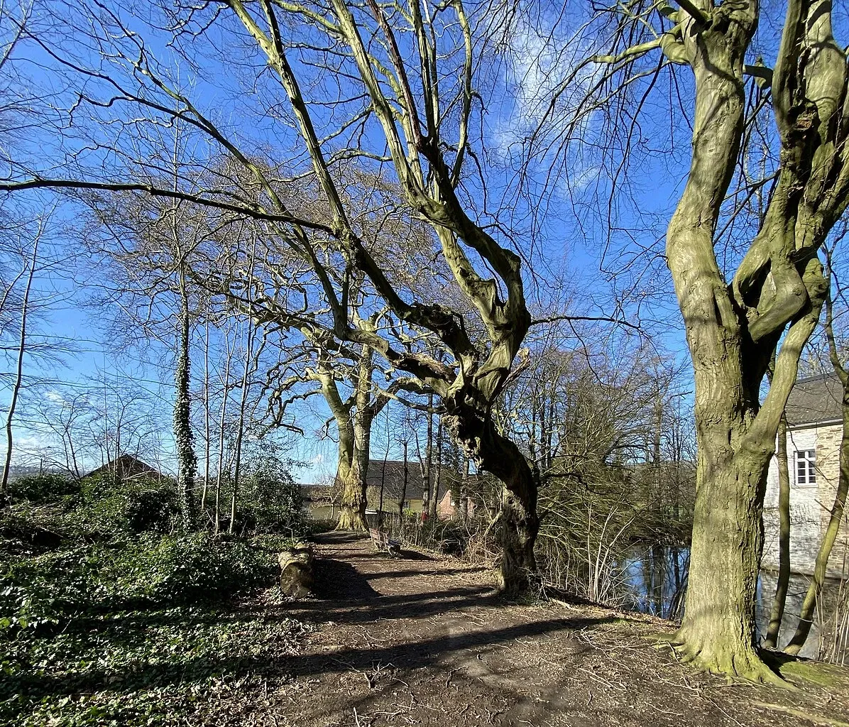 Museum für Ur- und Frühgeschichte