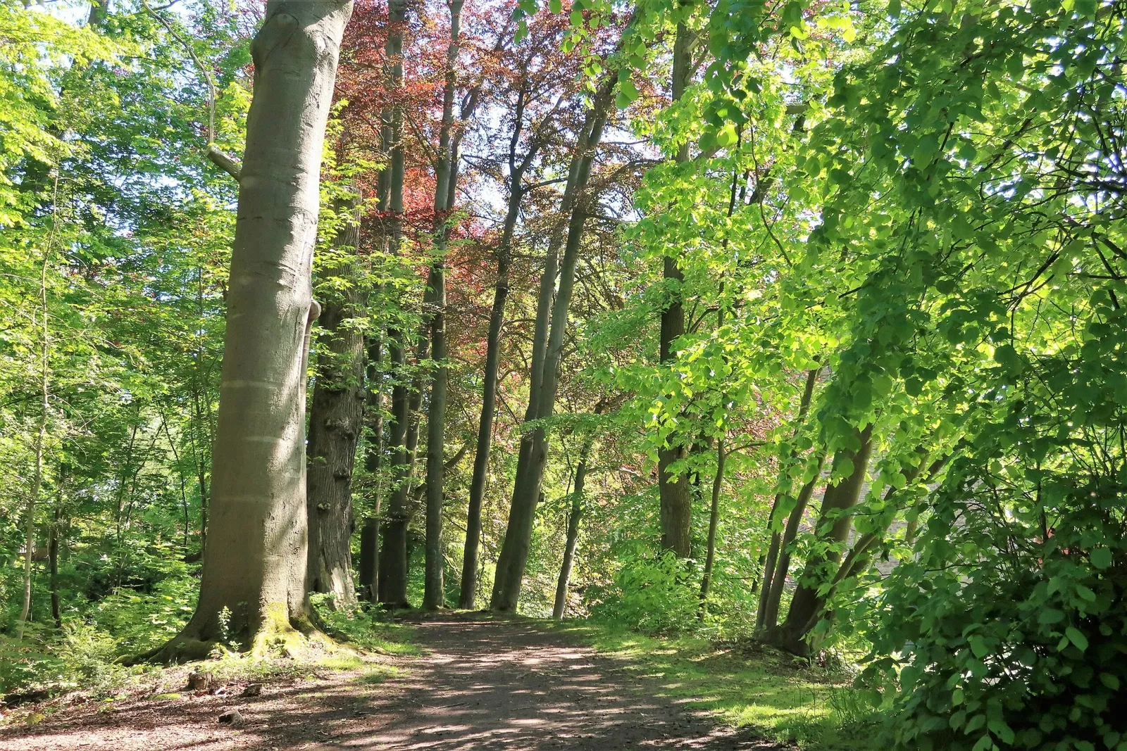 Museum für Ur- und Frühgeschichte