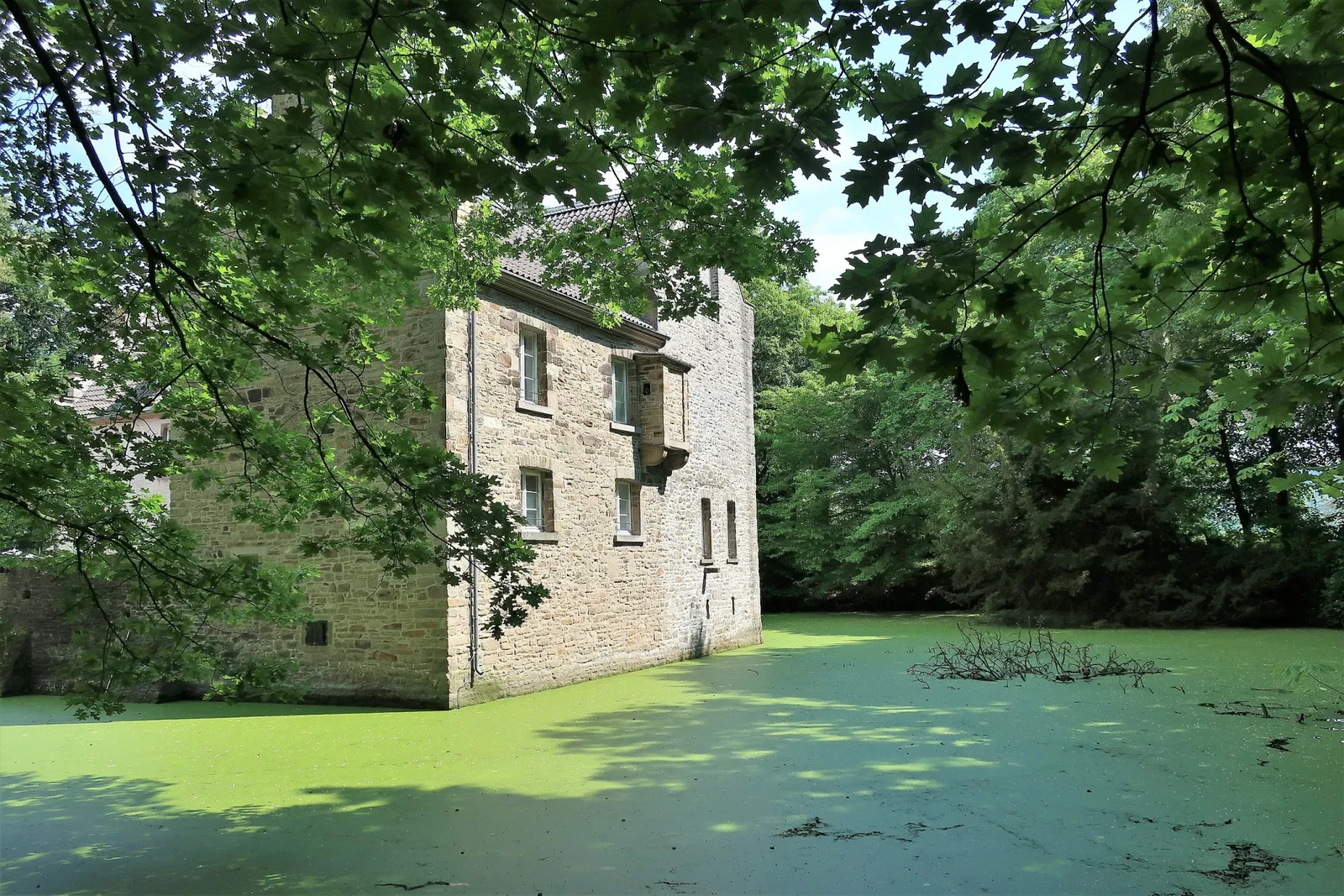 Museum für Ur- und Frühgeschichte