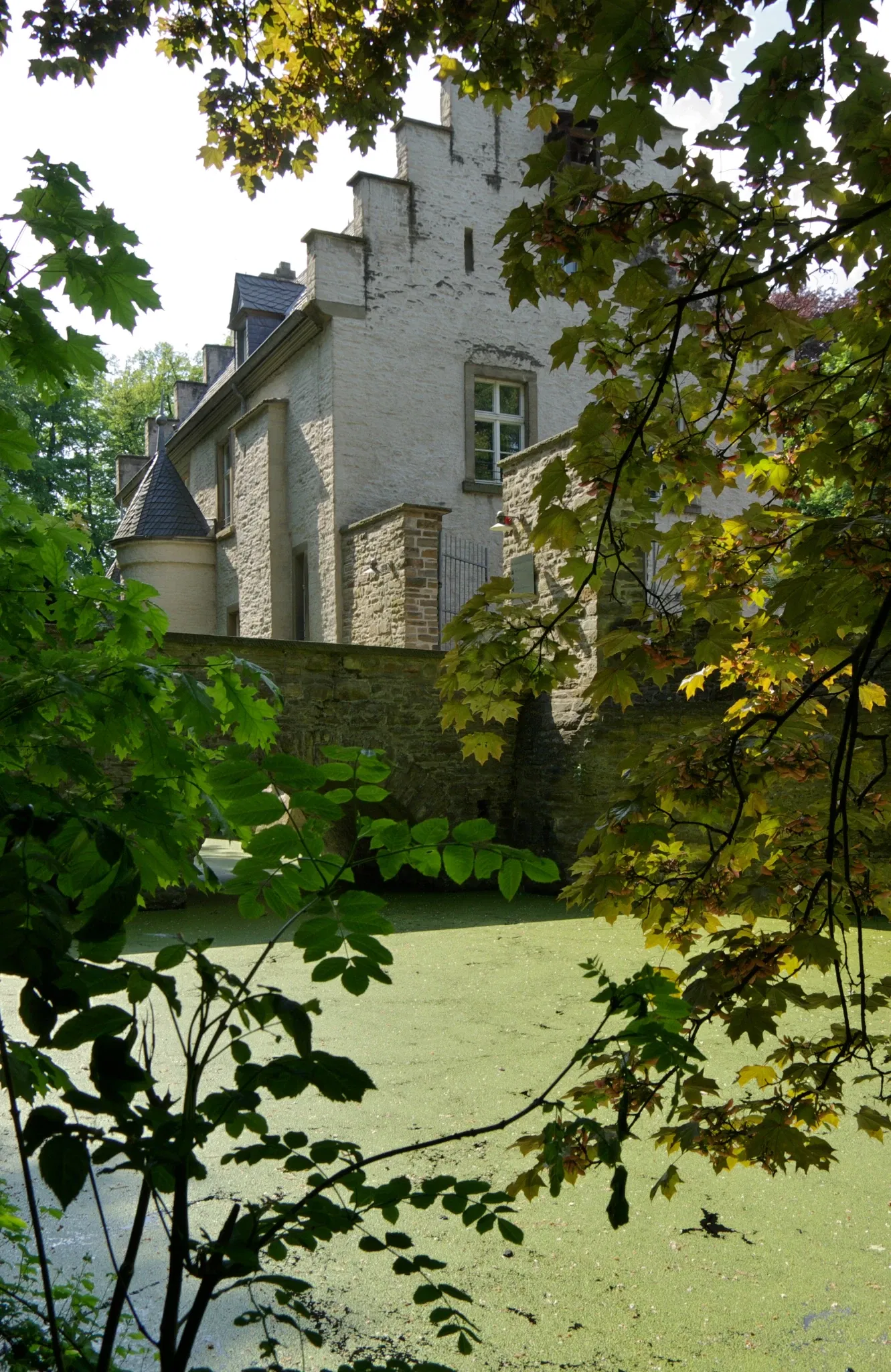 Museum für Ur- und Frühgeschichte