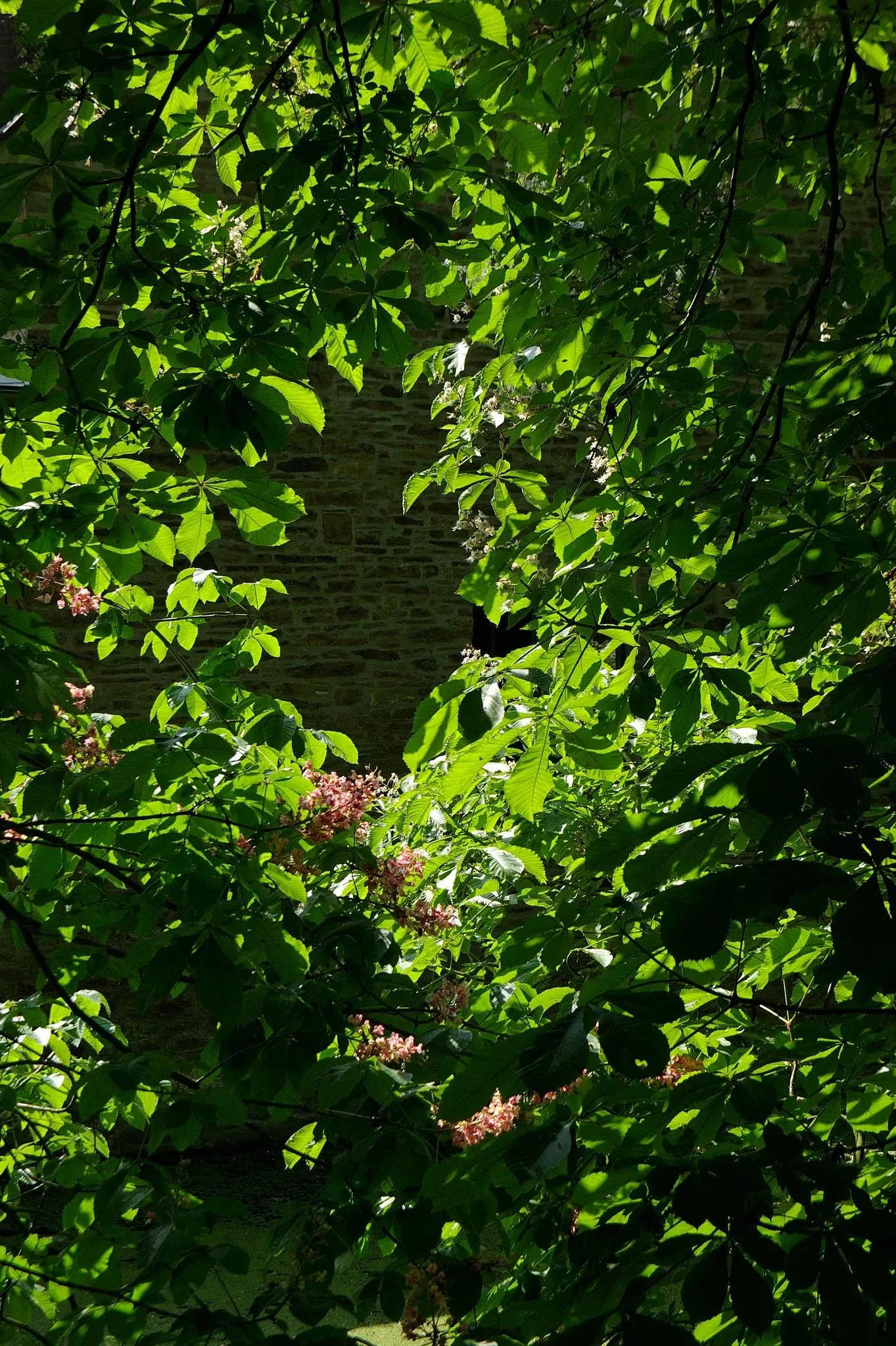 Museum für Ur- und Frühgeschichte