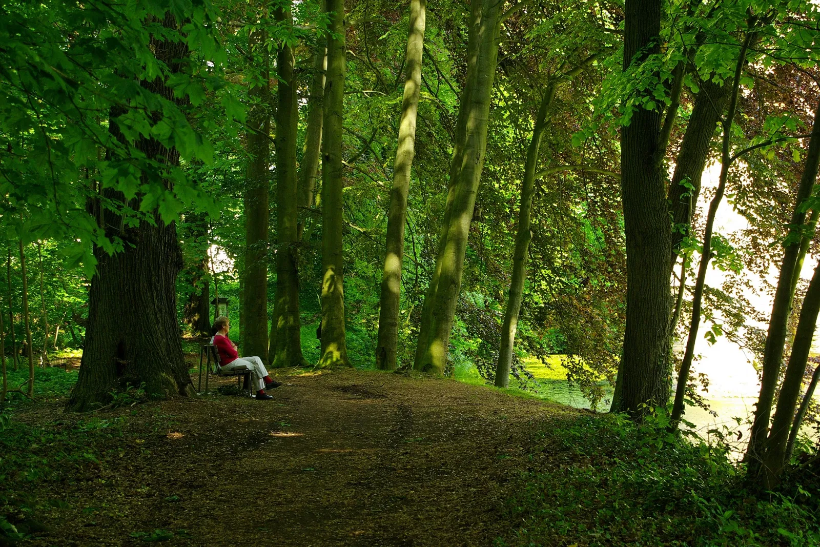 Museum für Ur- und Frühgeschichte