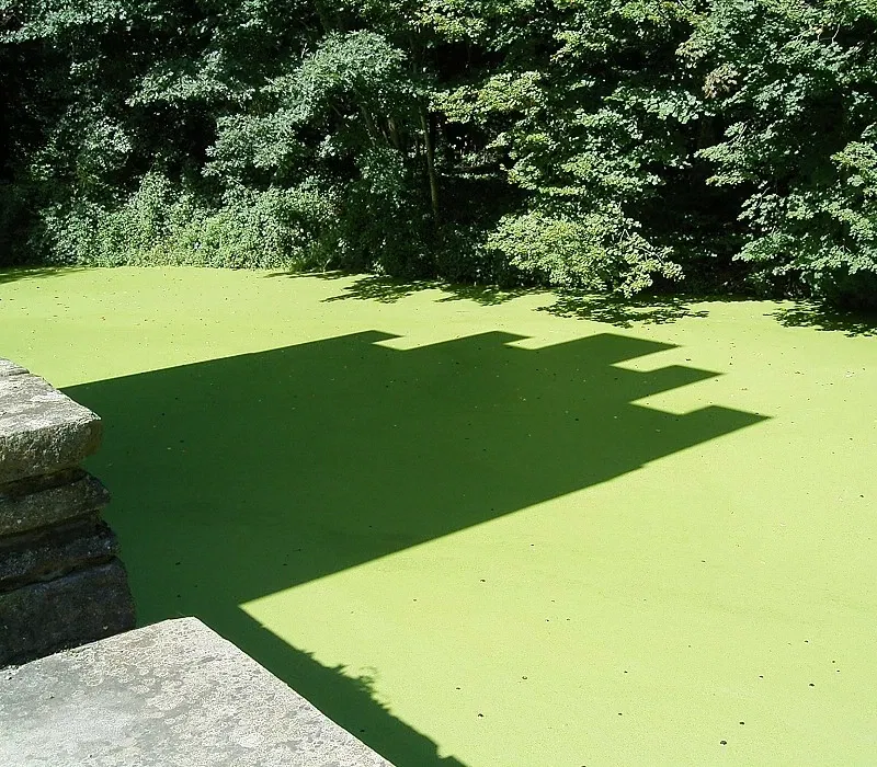 Museum für Ur- und Frühgeschichte