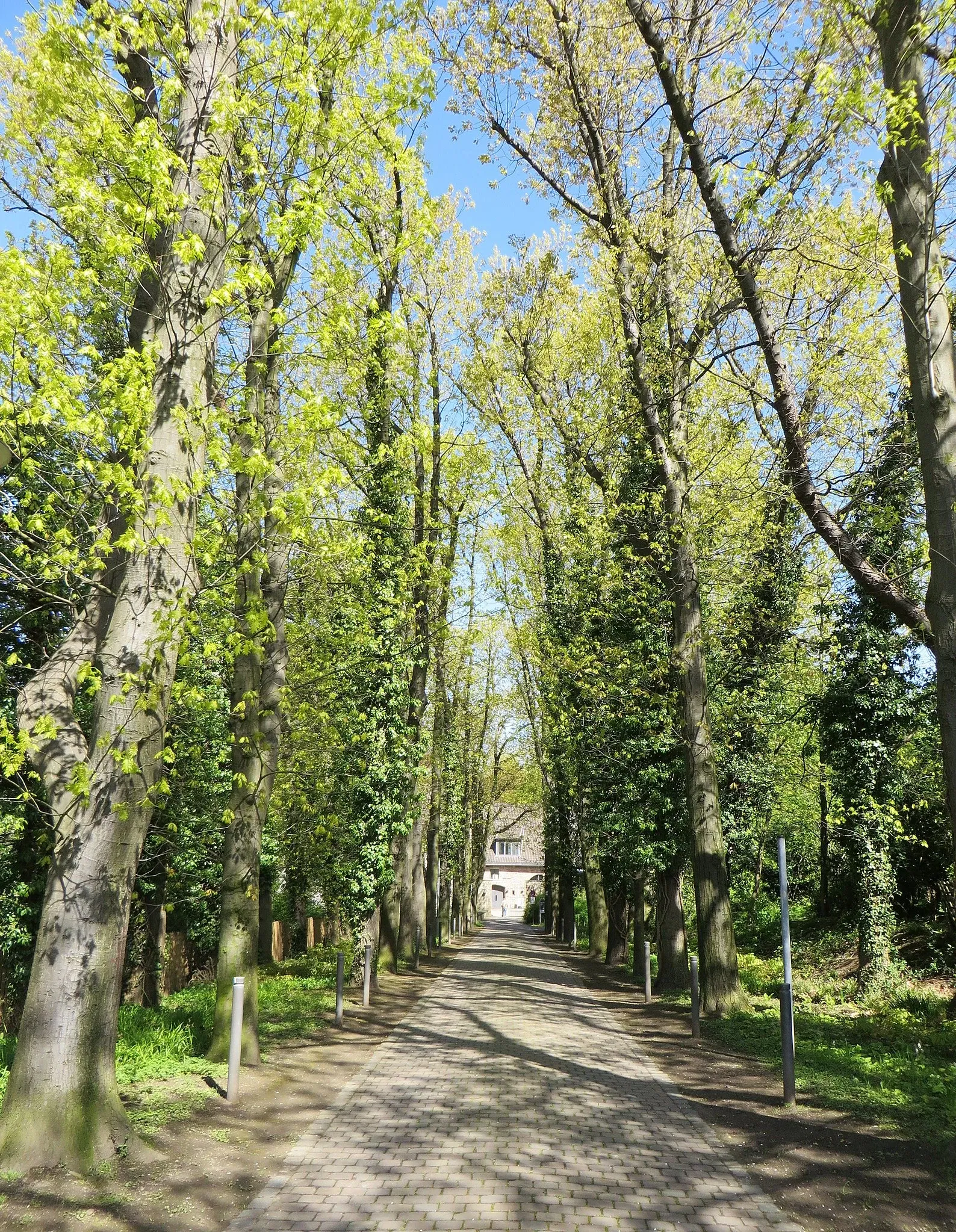 Museum für Ur- und Frühgeschichte