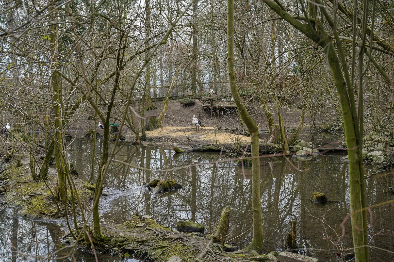 Welser Tiergarten