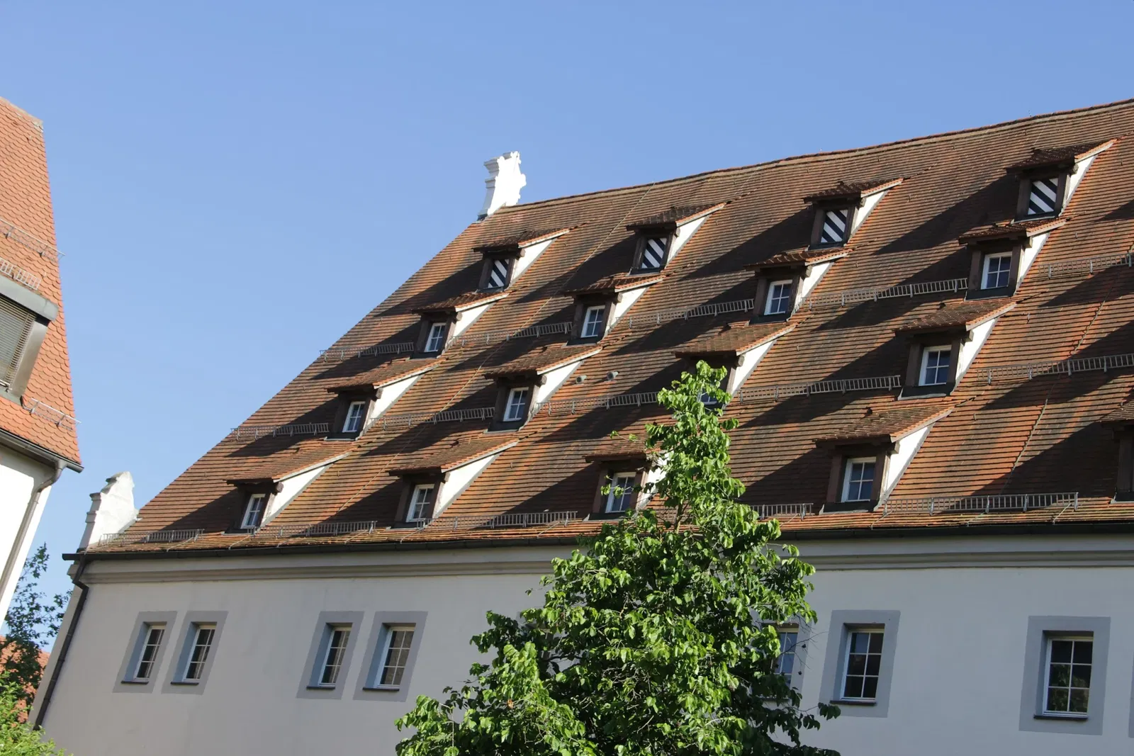 Museum Bread and Art