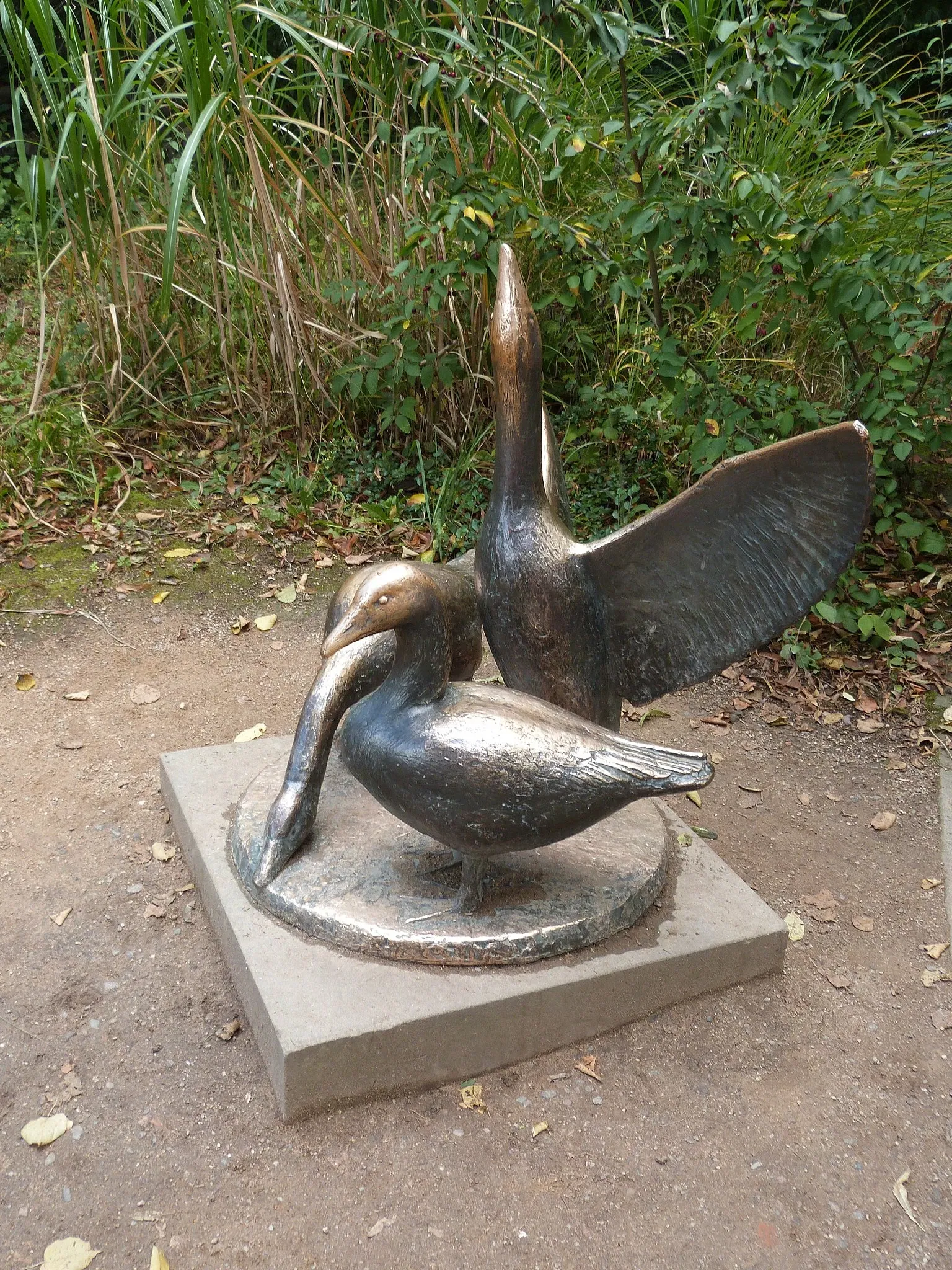 Zoologischer Garten Magdeburg