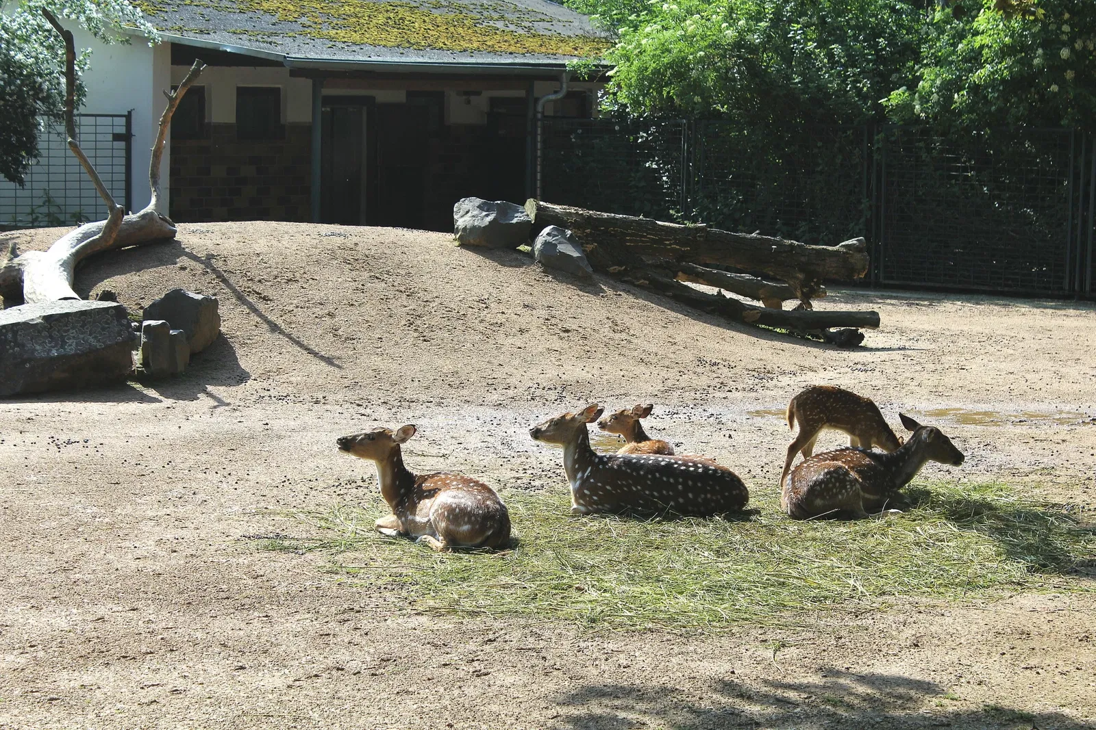 Zoologischer Garten Magdeburg