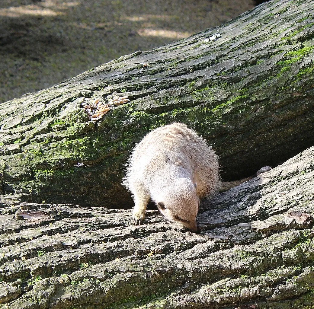 Zoologischer Garten Magdeburg
