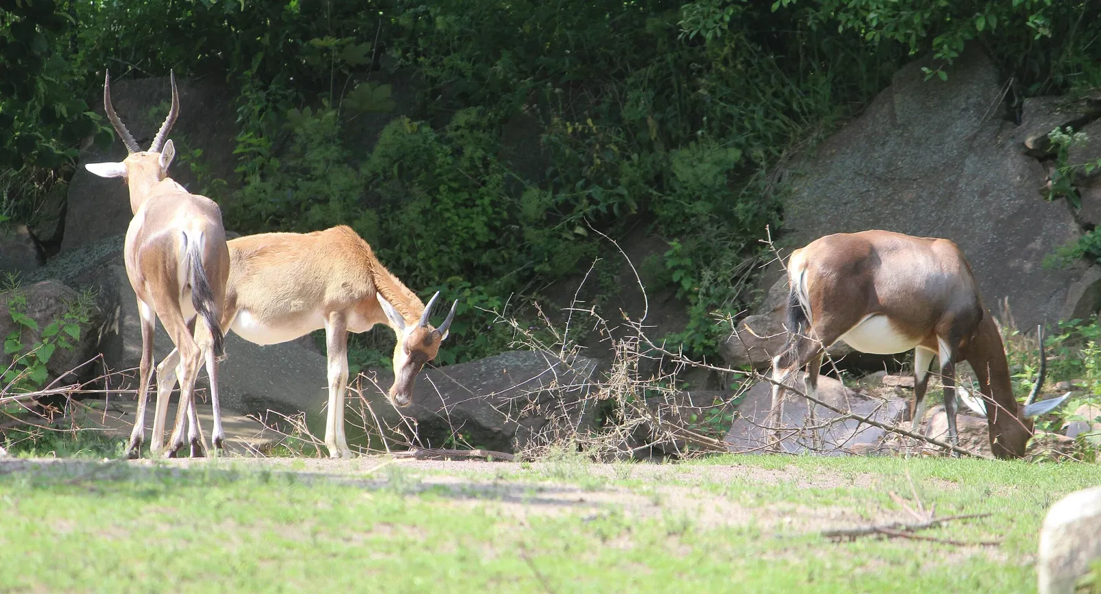 Zoologischer Garten Magdeburg