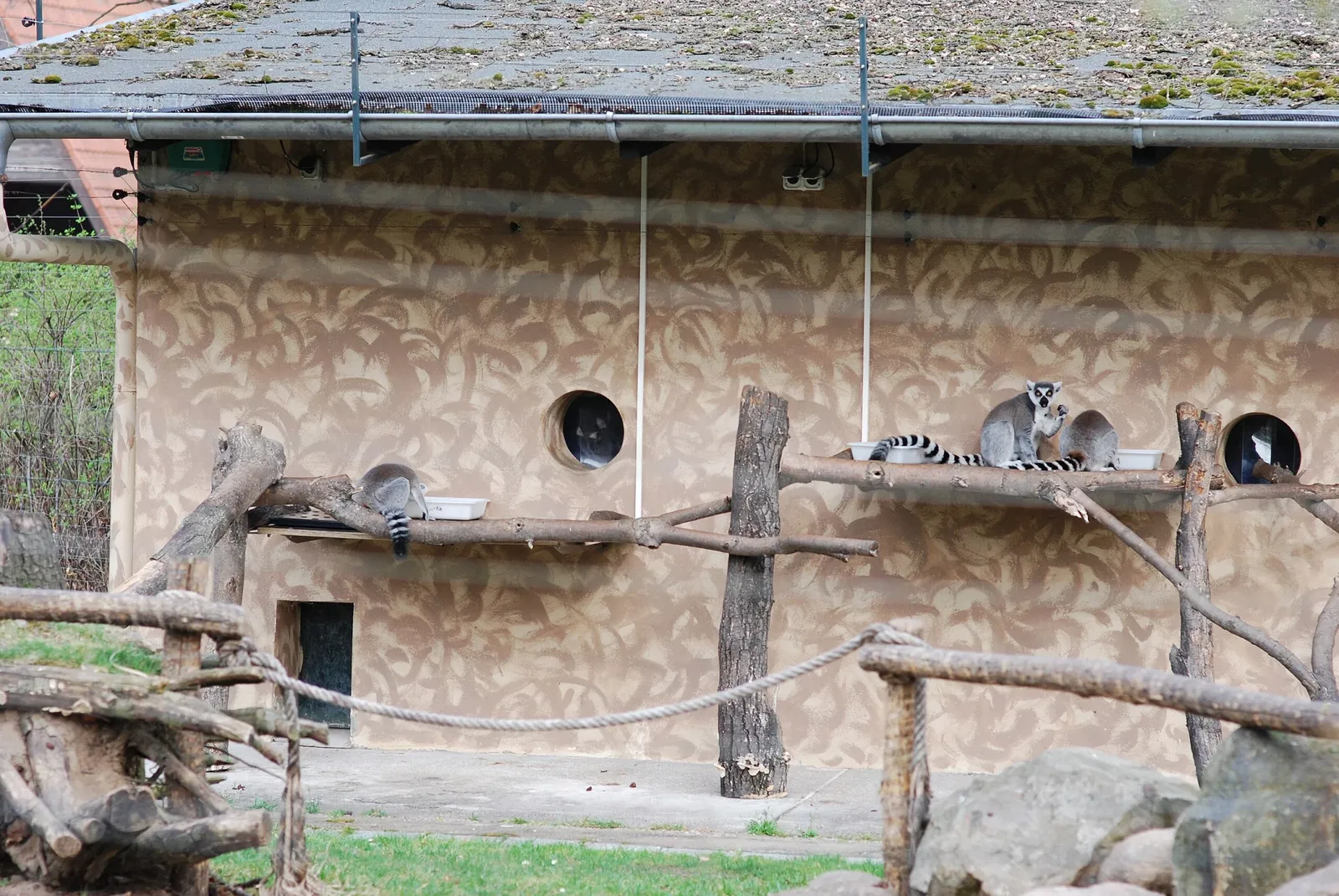 Zoo Magdeburg