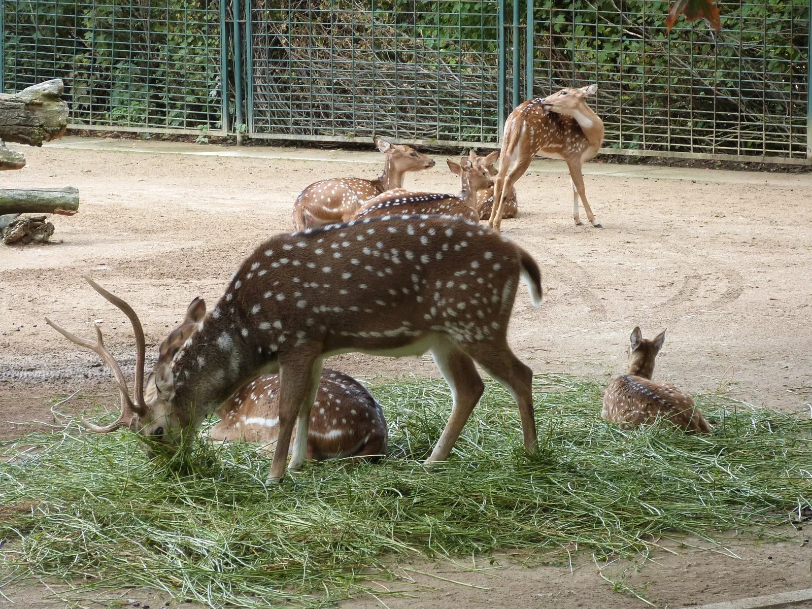 Zoo Magdeburg