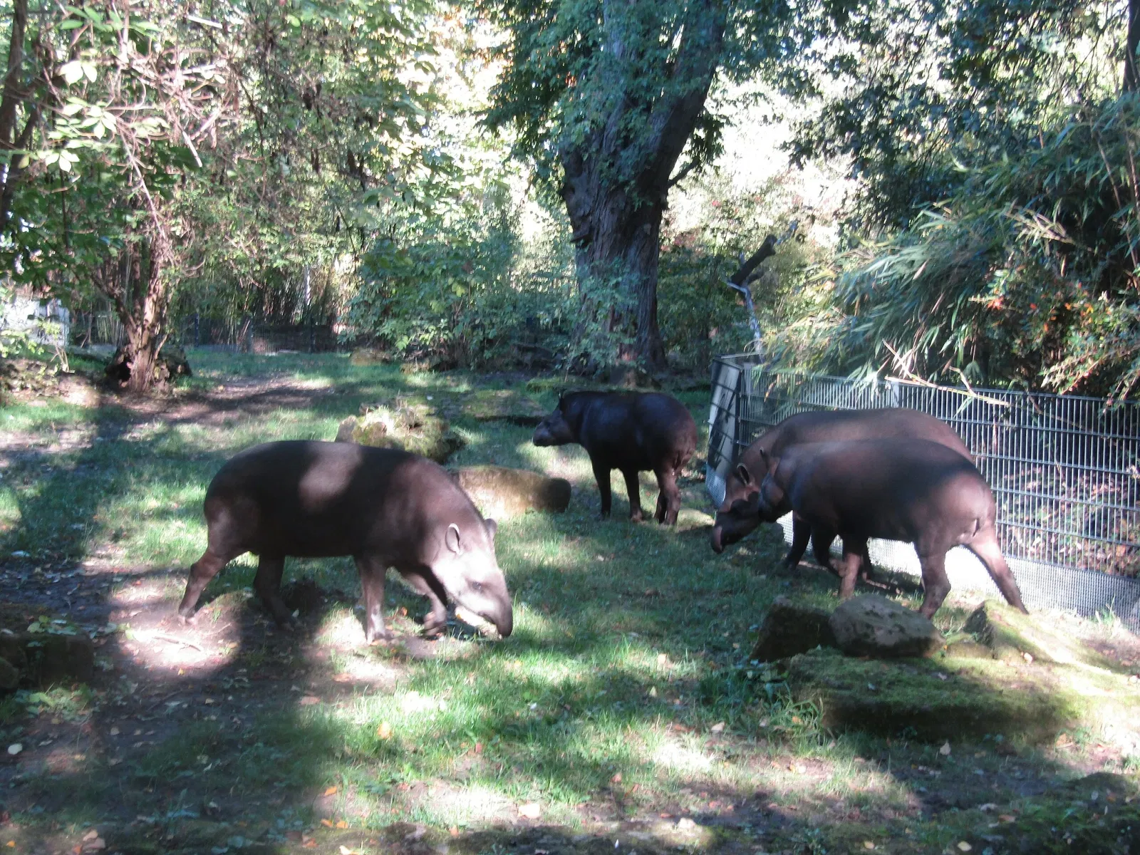 Zoologischer Garten Magdeburg