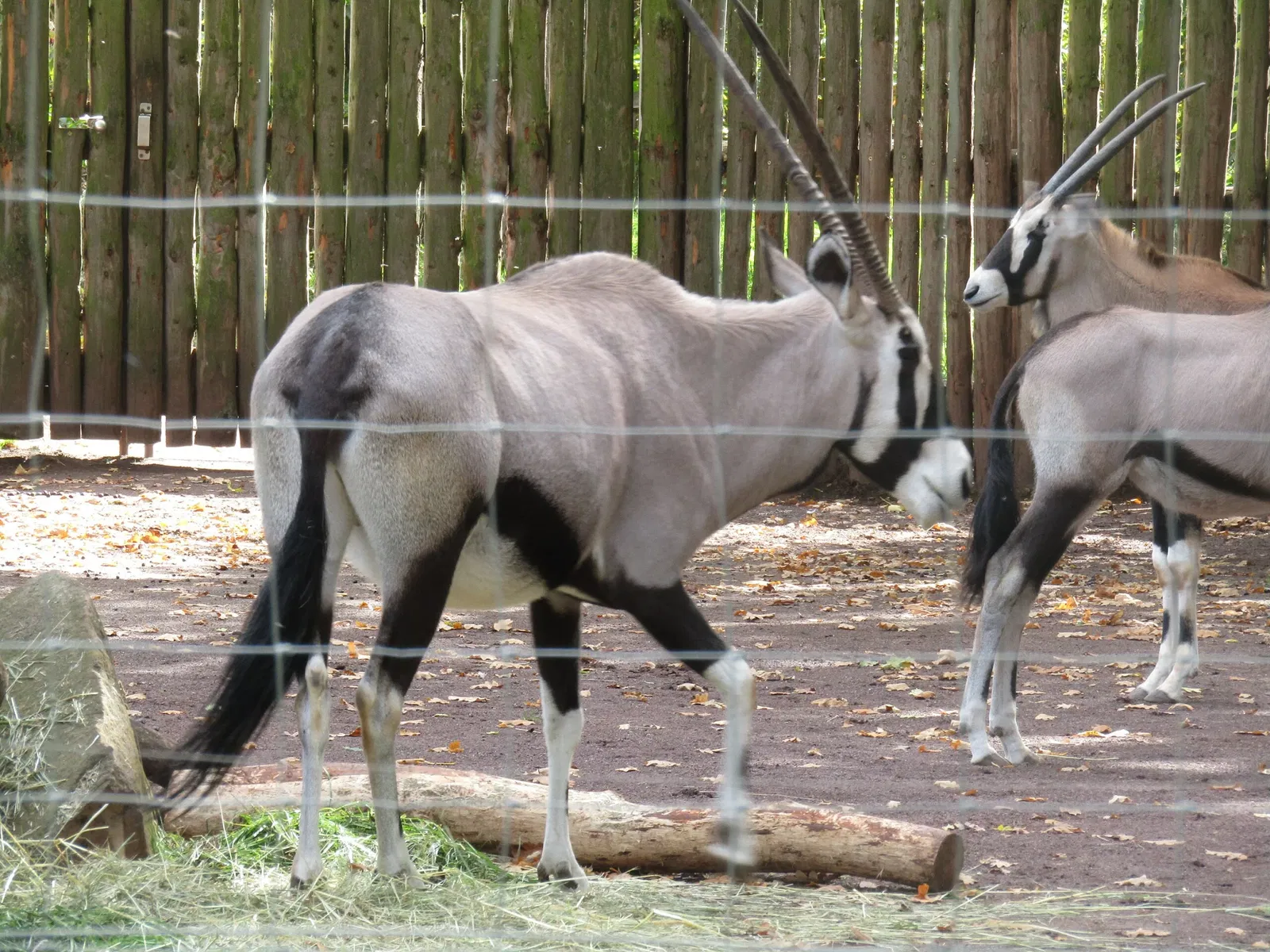 Zoologischer Garten Magdeburg