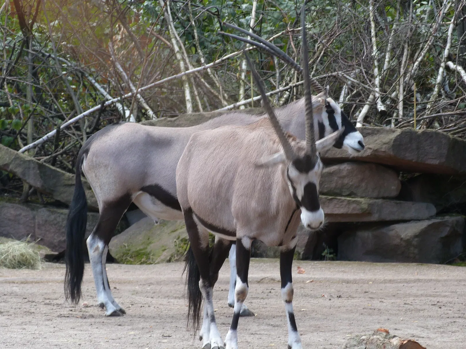 Zoologischer Garten Magdeburg