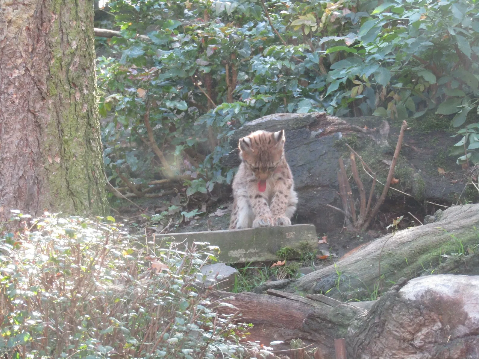 Zoologischer Garten Magdeburg