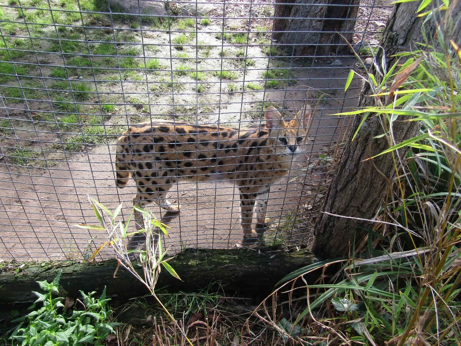 Zoologischer Garten Magdeburg