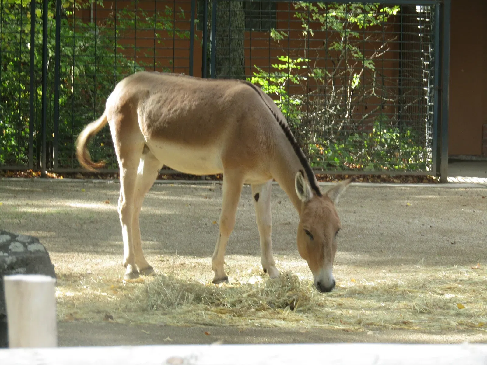 Zoo Magdeburg