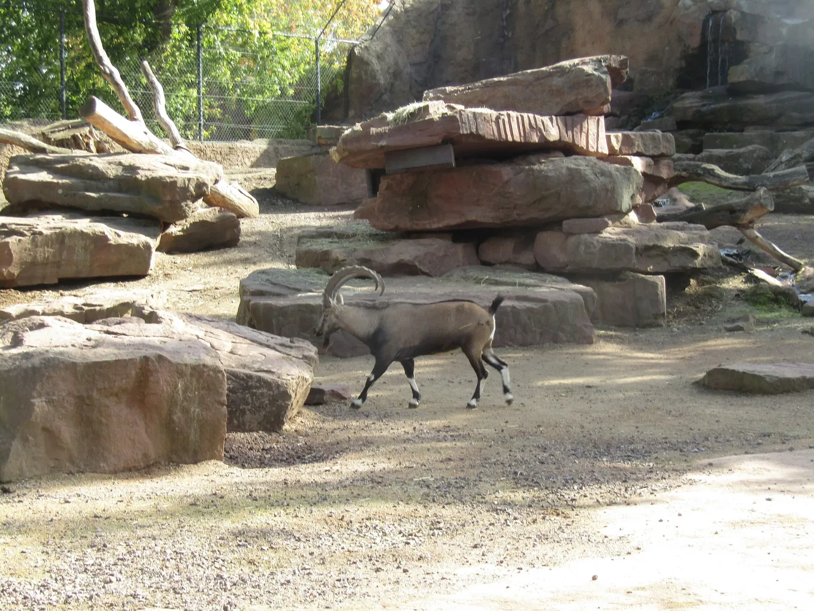 Zoologischer Garten Magdeburg
