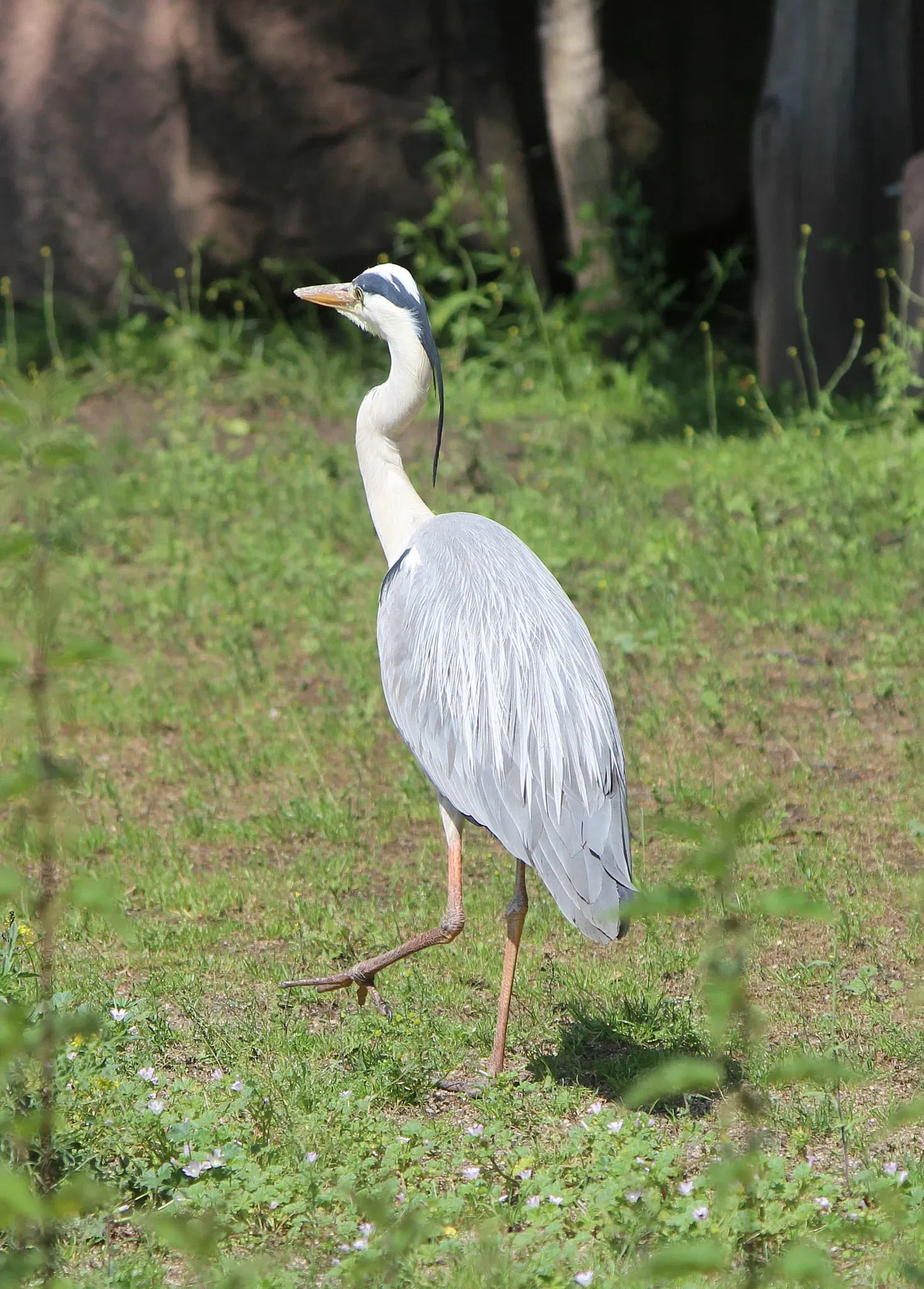 Zoologischer Garten Magdeburg