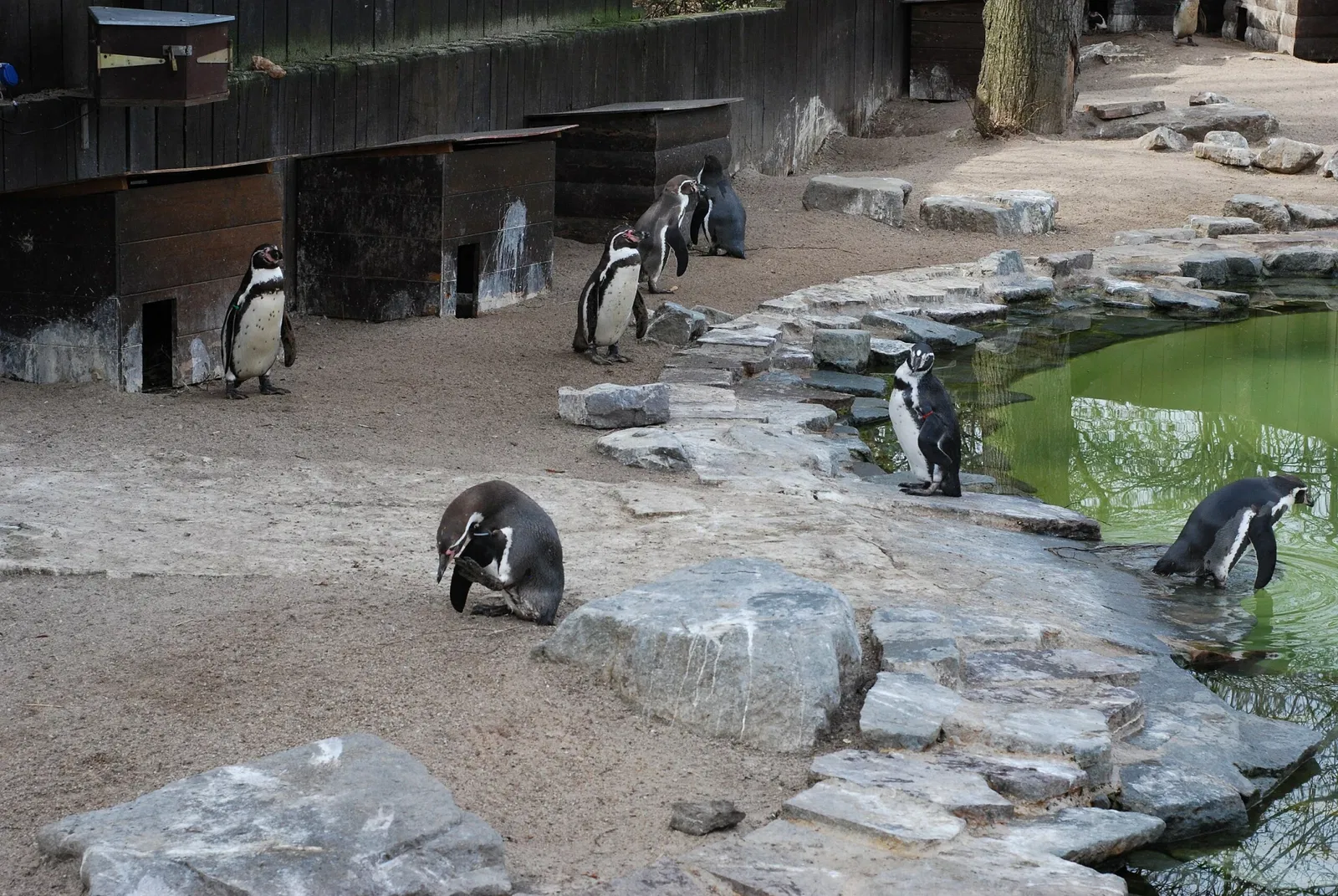 Zoo Magdeburg