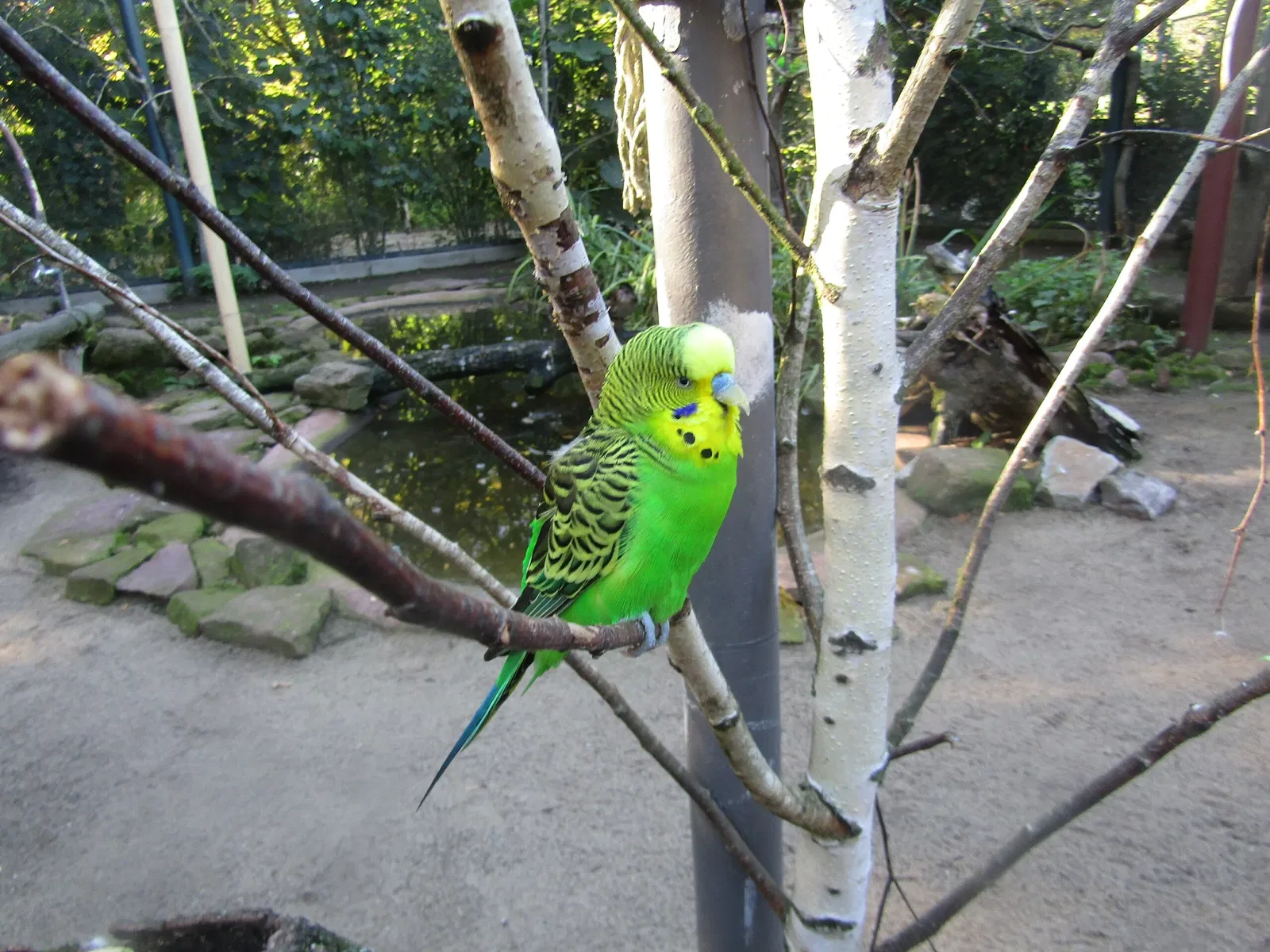 Zoo Magdeburg
