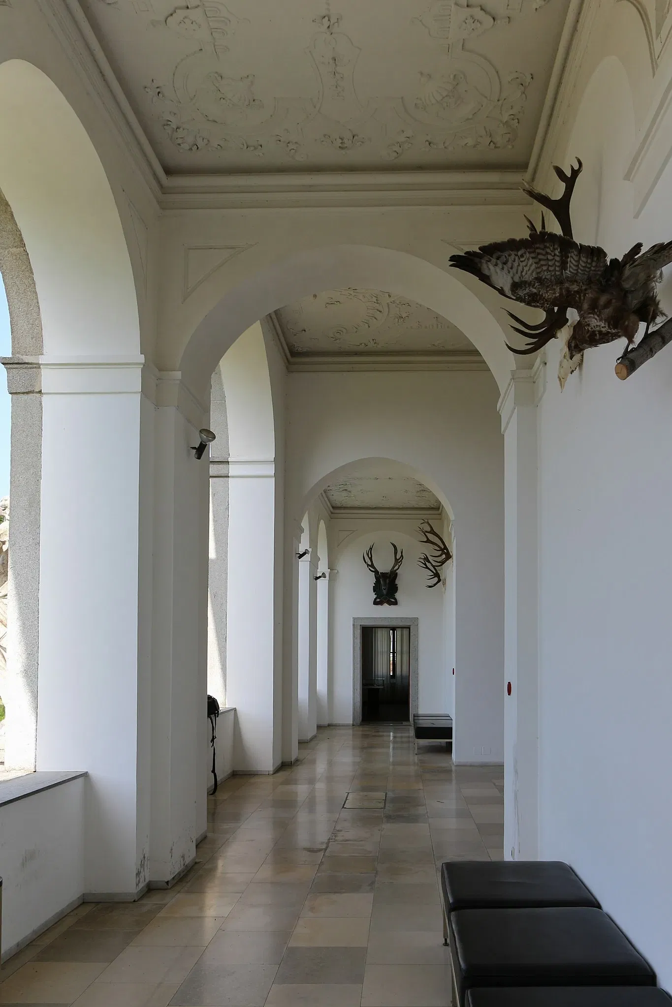 Jagdmuseum Schloß Hohenbrunn