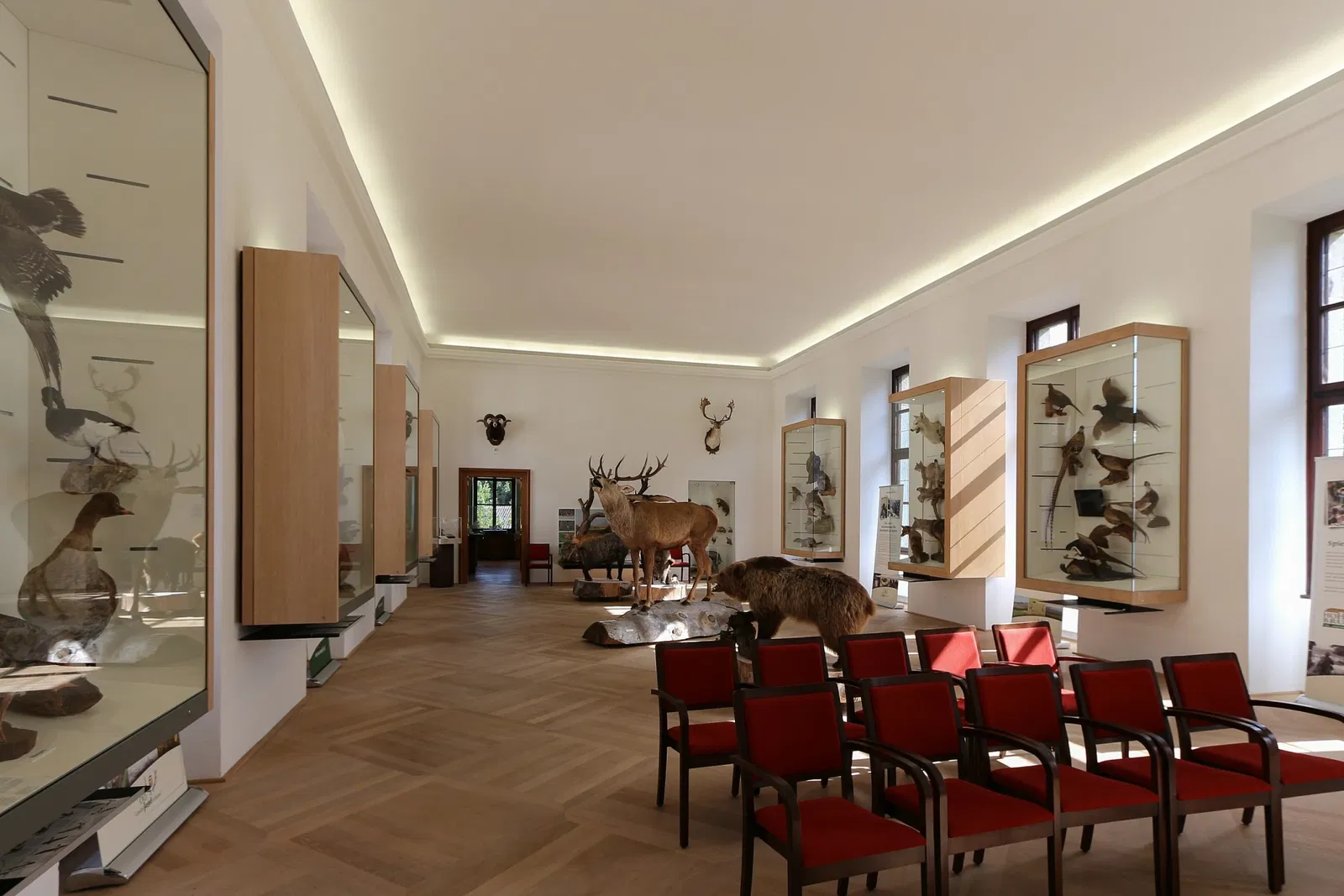 Jagdmuseum Schloß Hohenbrunn