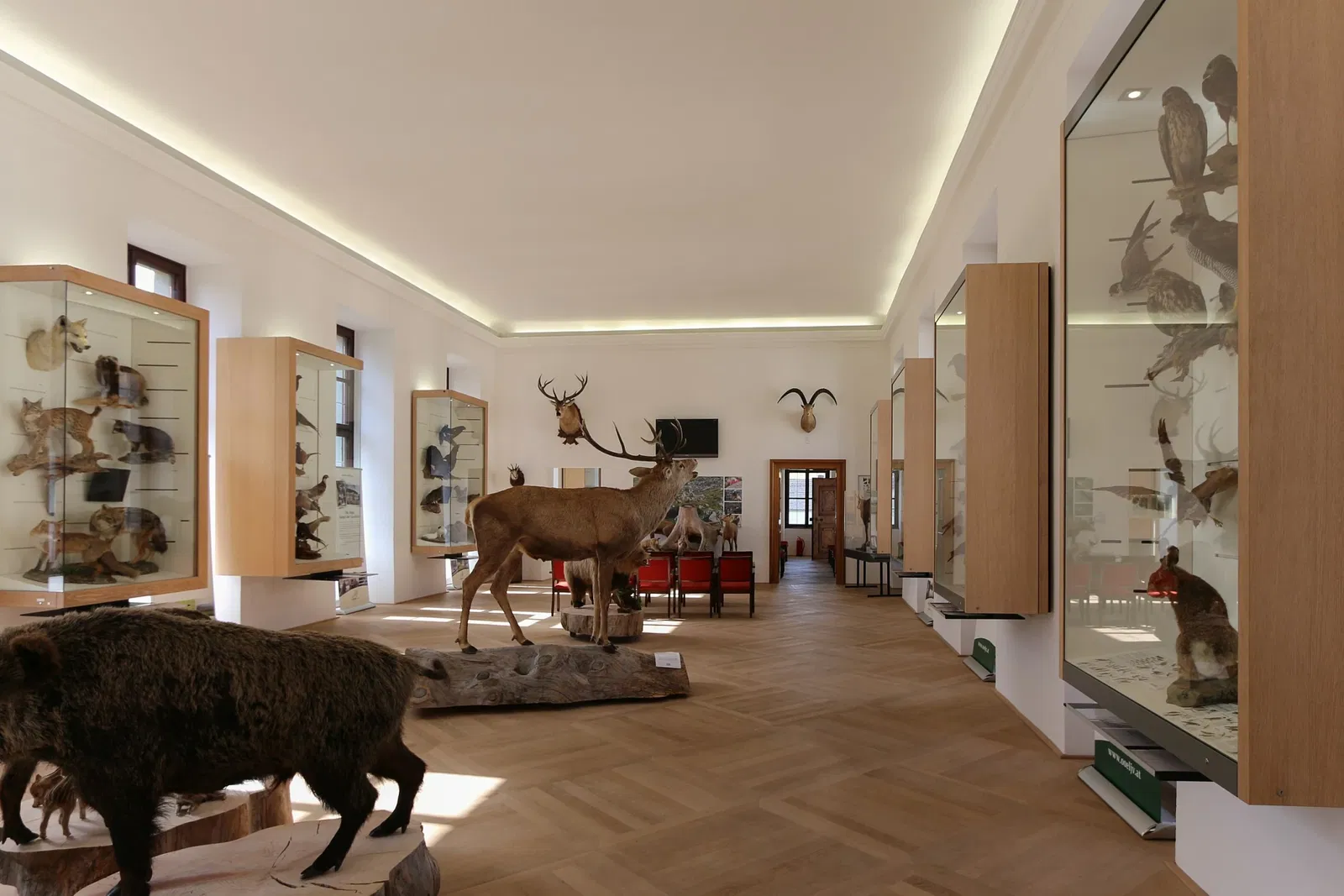 Jagdmuseum Schloß Hohenbrunn