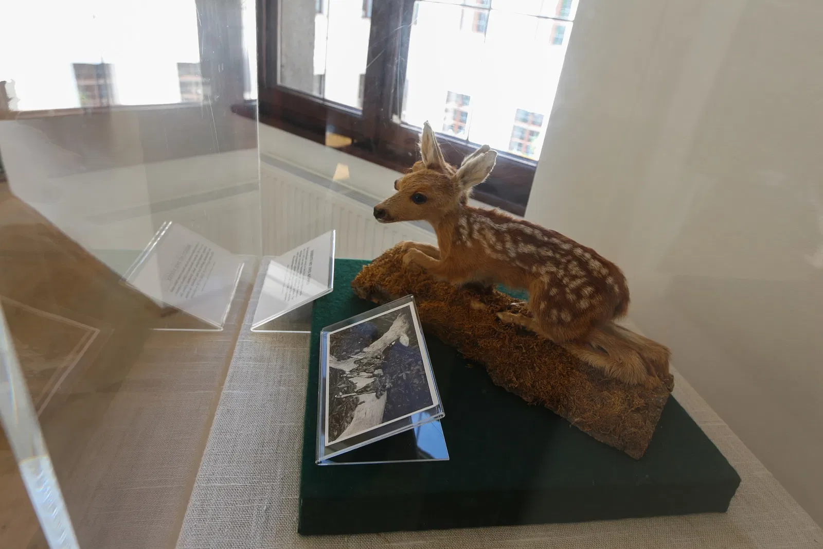 Jagdmuseum Schloß Hohenbrunn