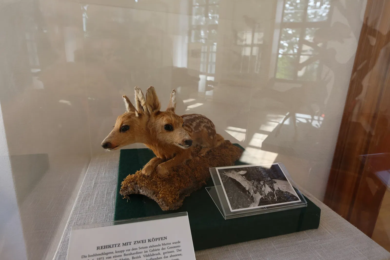 Jagdmuseum Schloß Hohenbrunn