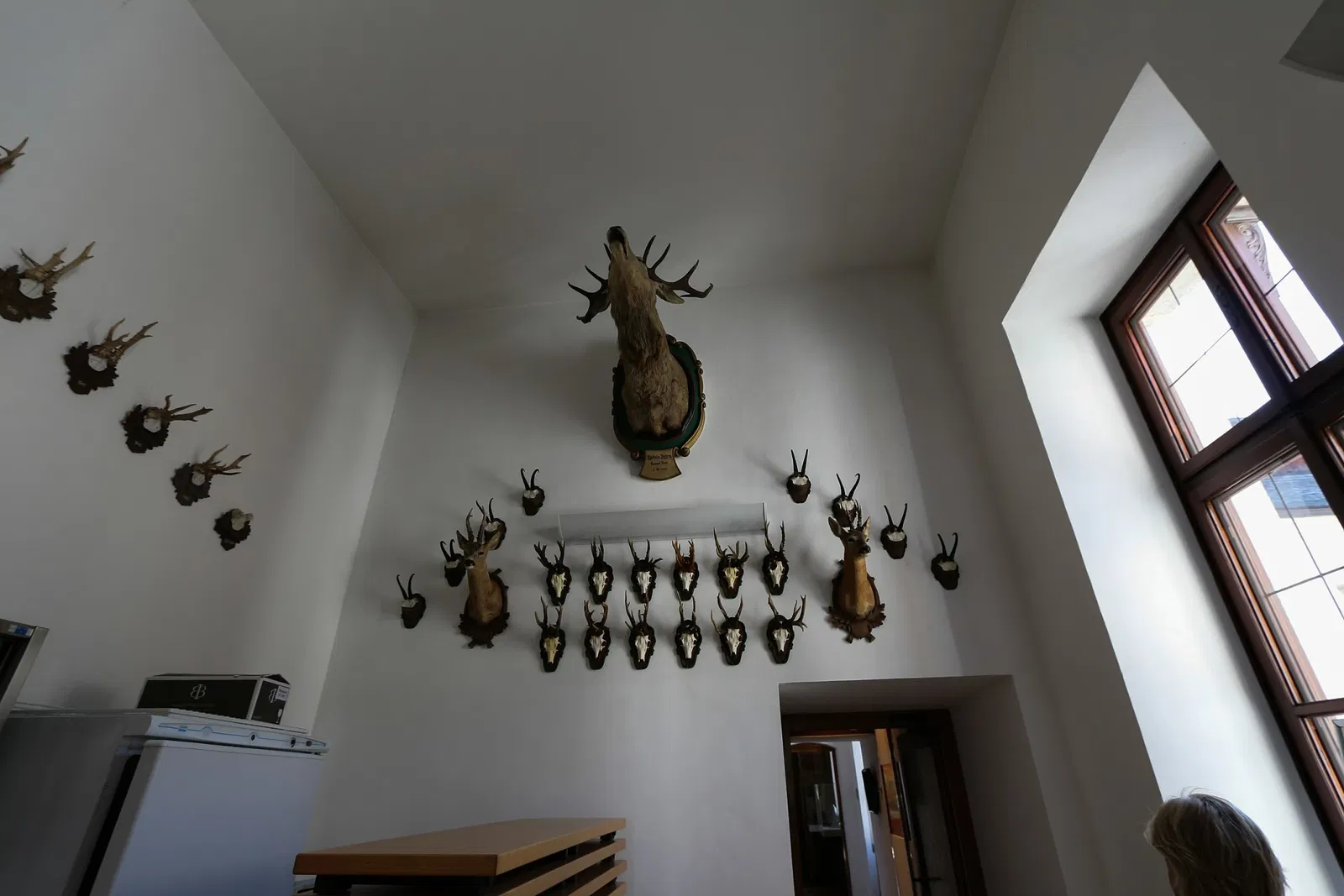 Jagdmuseum Schloß Hohenbrunn