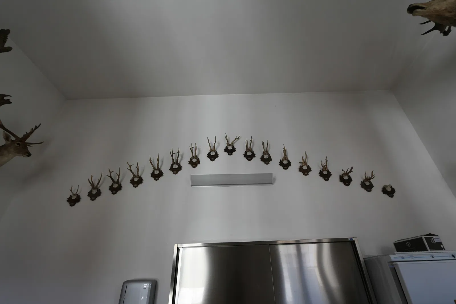 Jagdmuseum Schloß Hohenbrunn