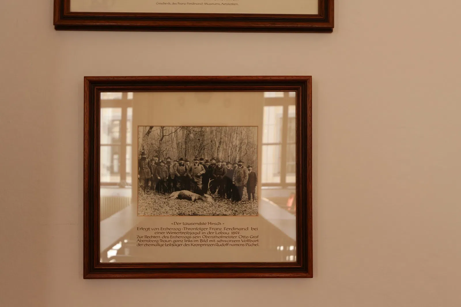 Jagdmuseum Schloß Hohenbrunn