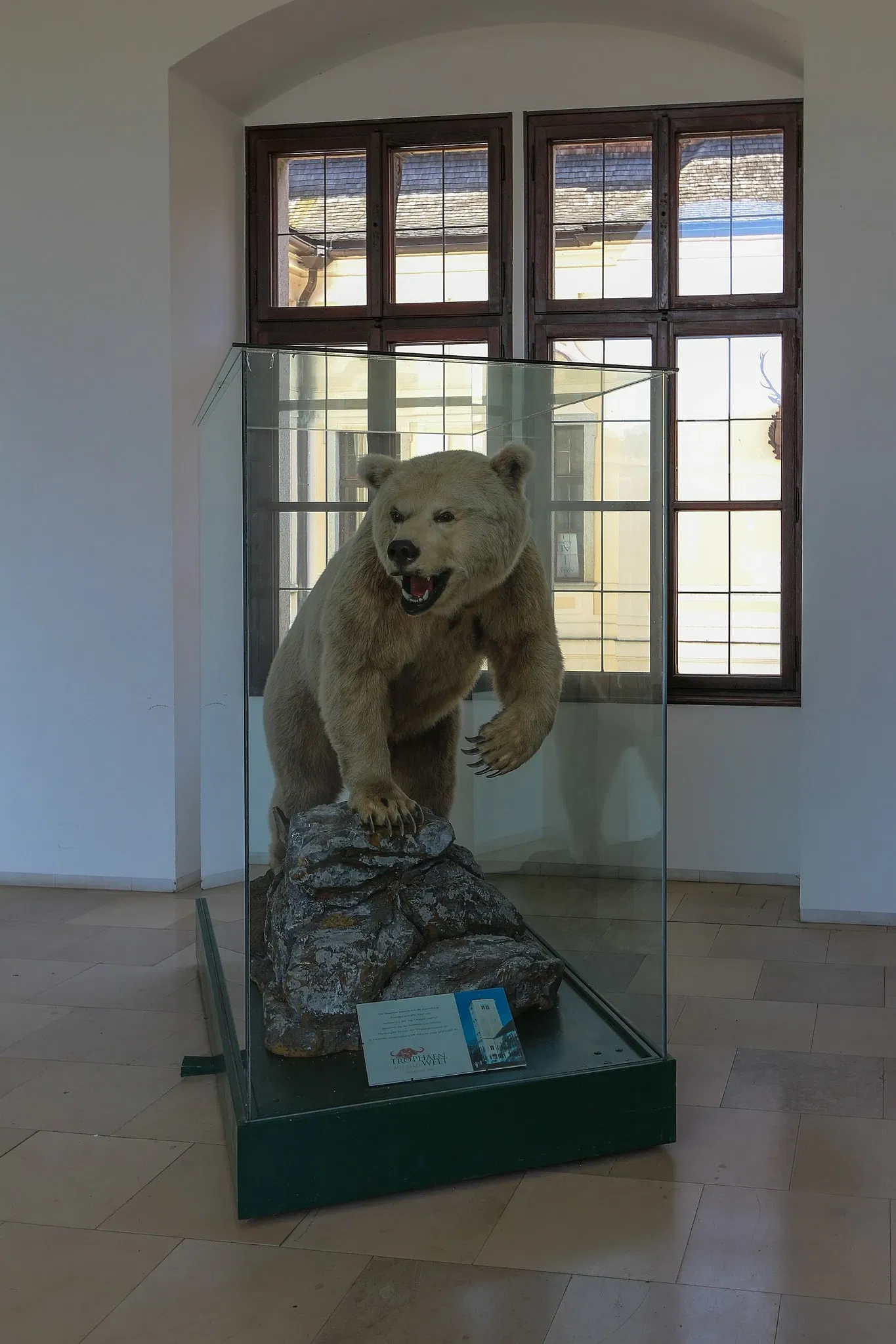 Jagdmuseum Schloß Hohenbrunn