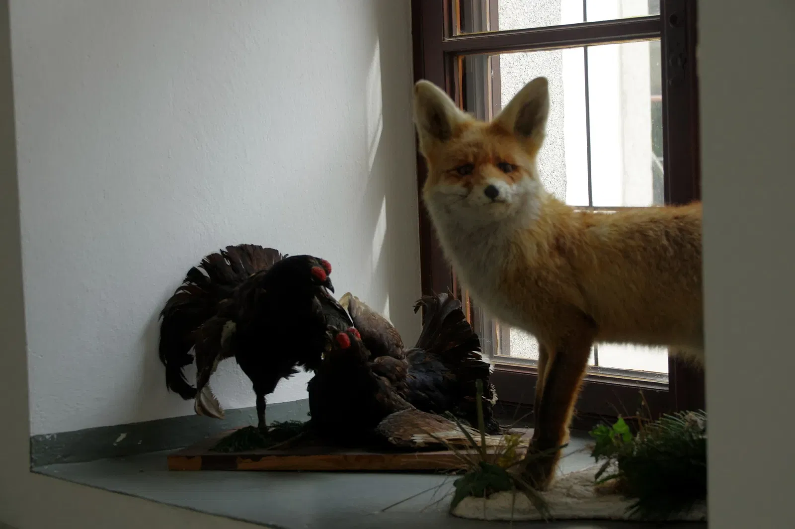 Jagdmuseum Schloß Hohenbrunn