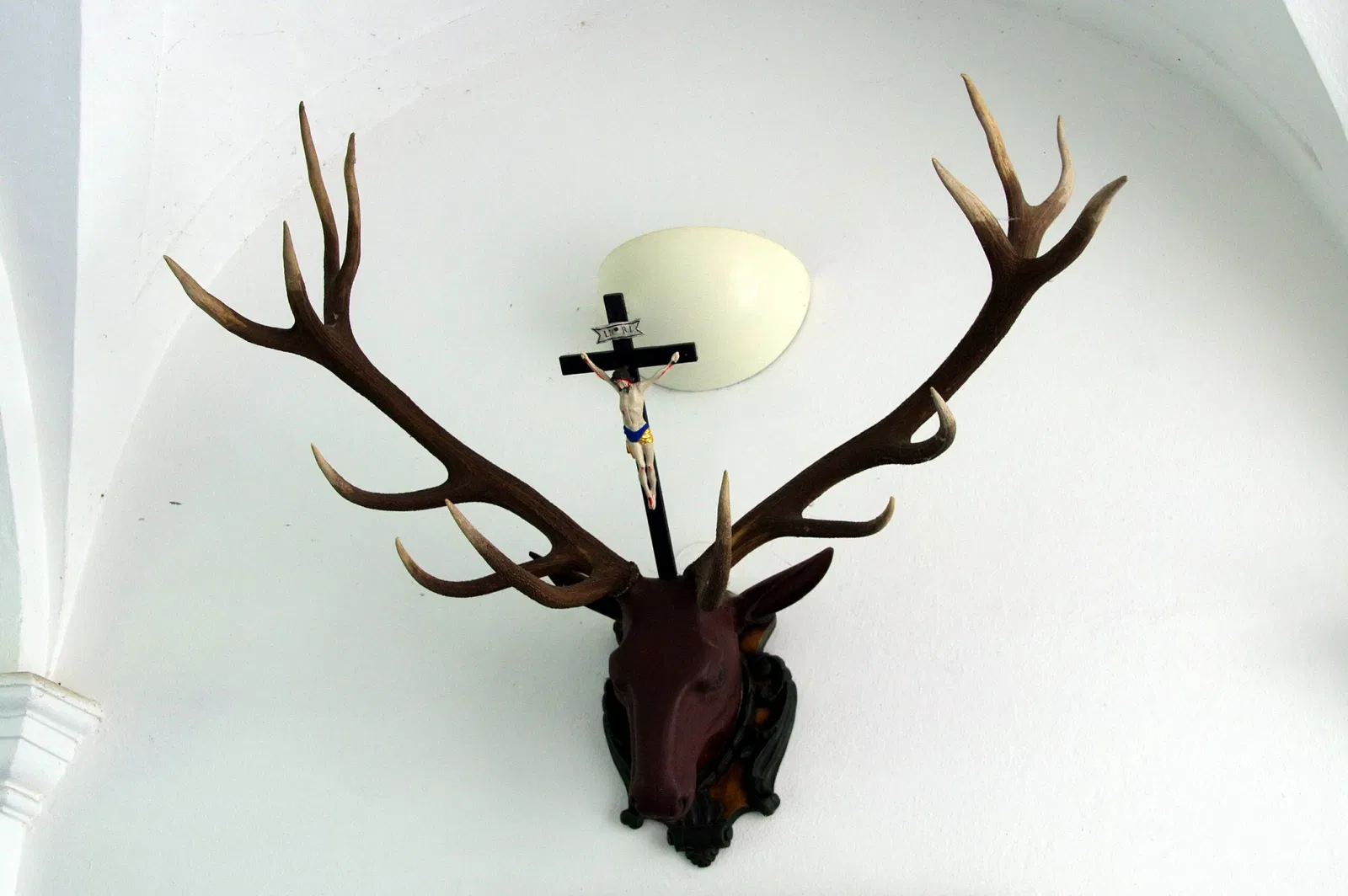 Jagdmuseum Schloß Hohenbrunn