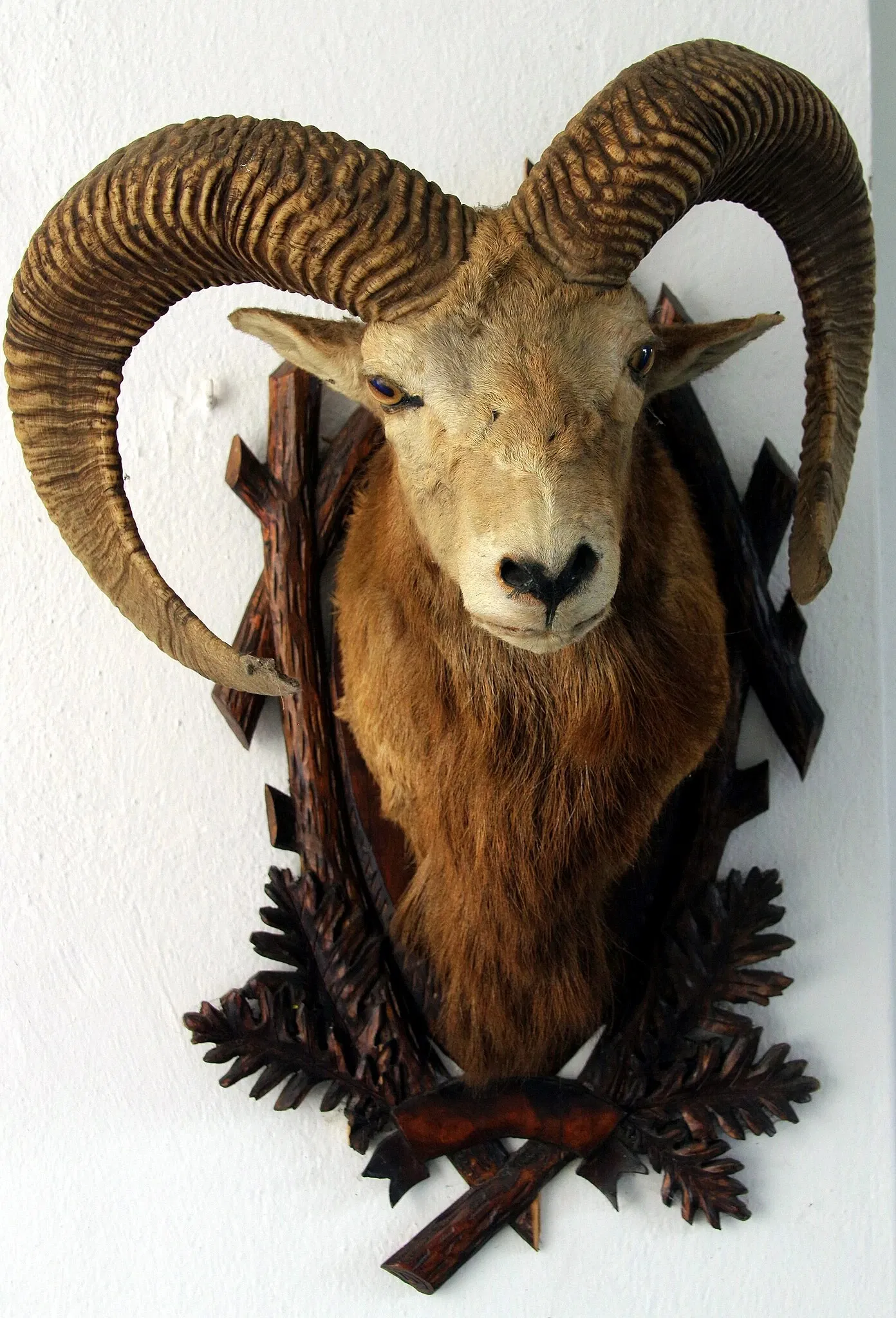 Jagdmuseum Schloß Hohenbrunn