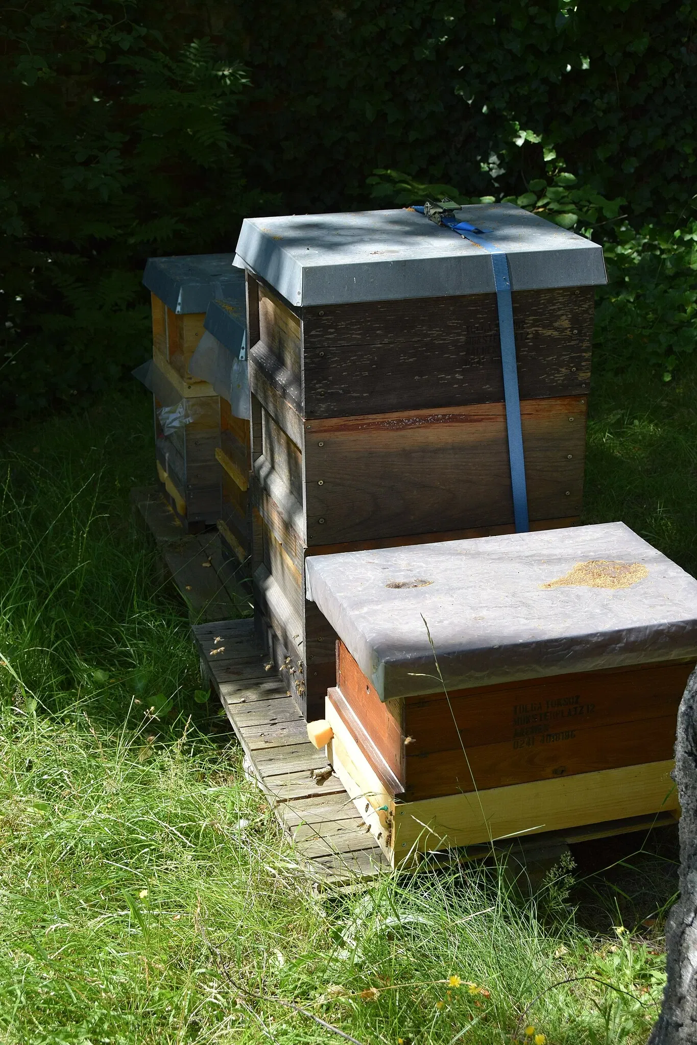 Ludwig Forum for International Art