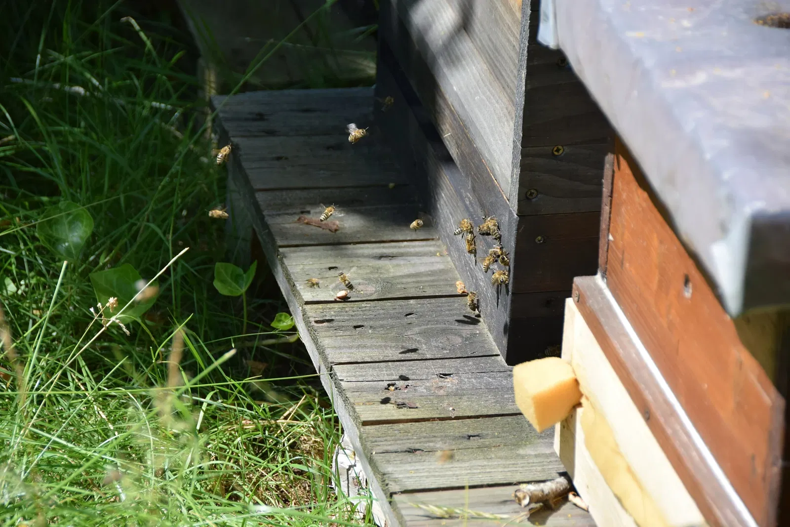 Ludwig Forum for International Art