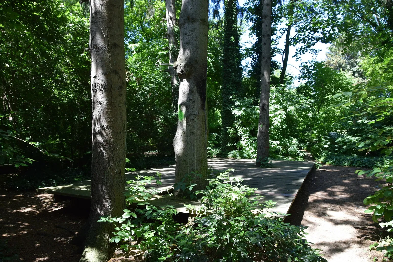 Ludwig Forum für Internationale Kunst