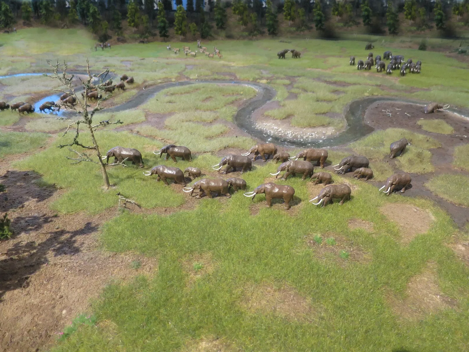 Hessisches Landesmuseum