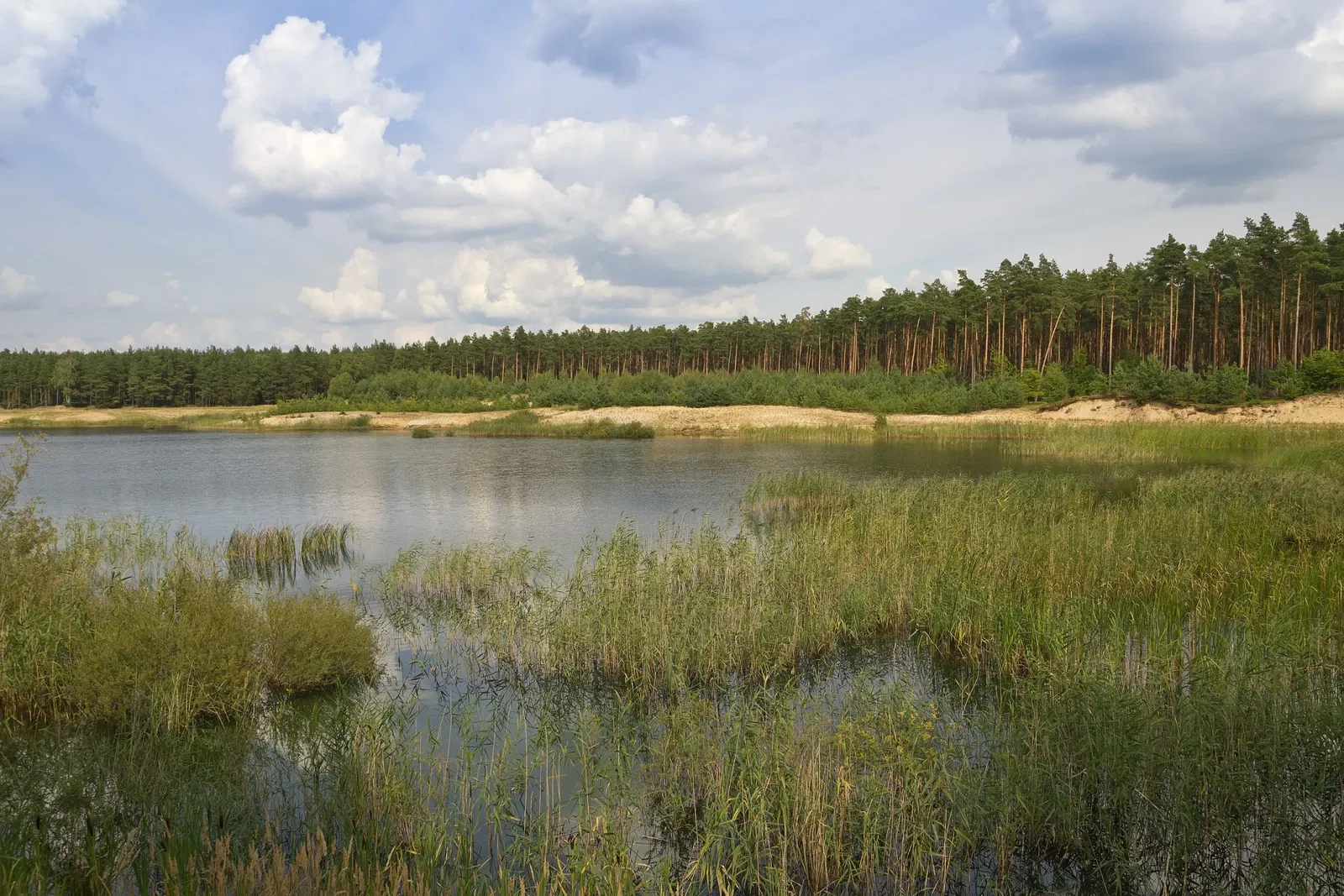 Mildenberg Brick Work Park