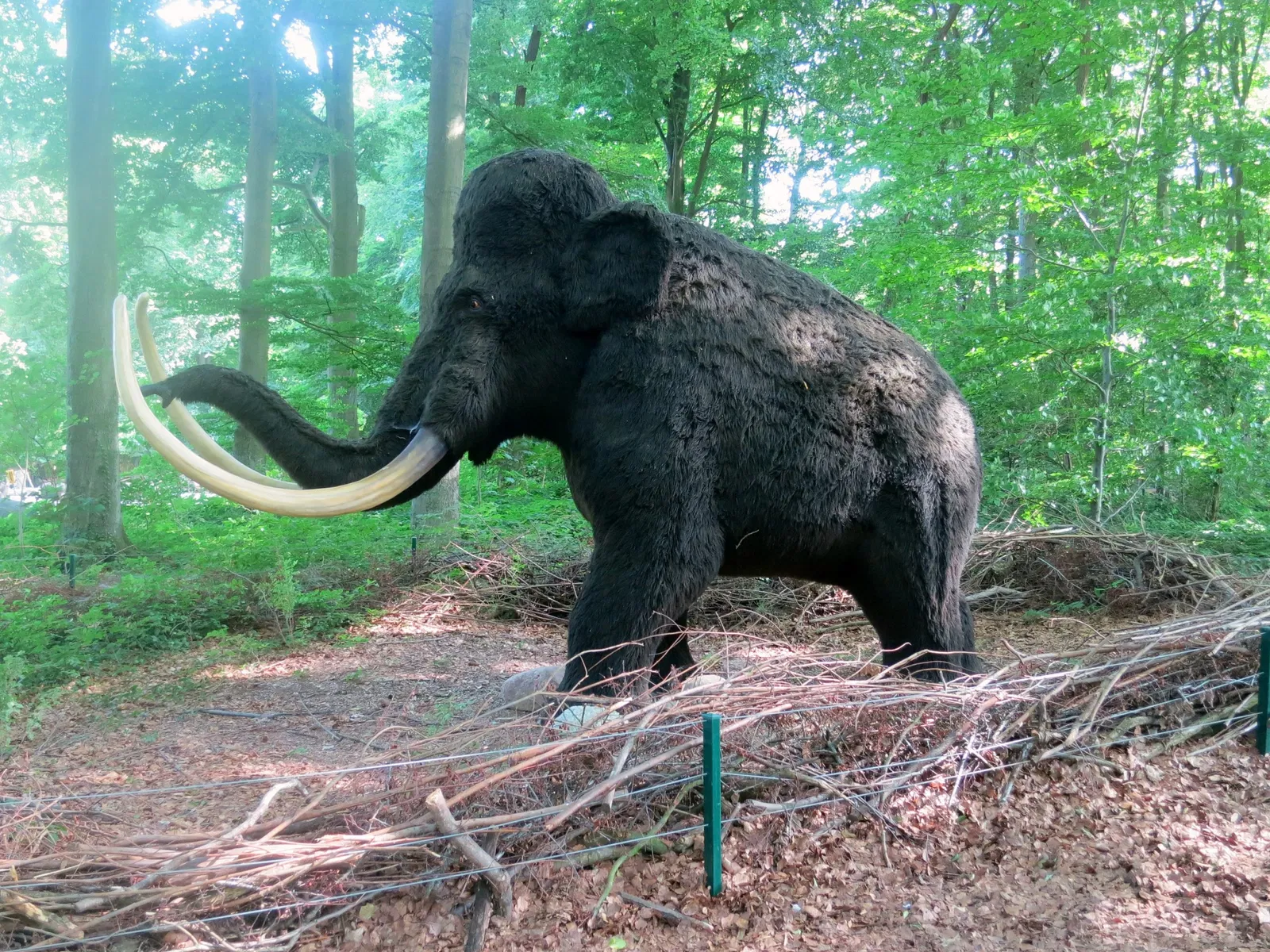 Zoologische Garten Rostock