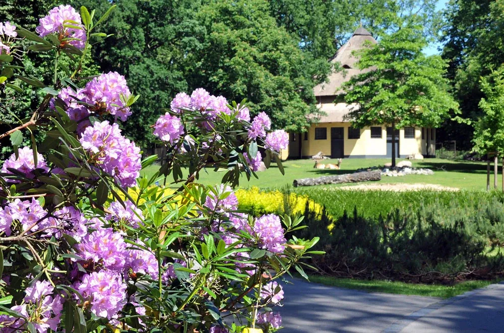 Zoologische Garten Rostock