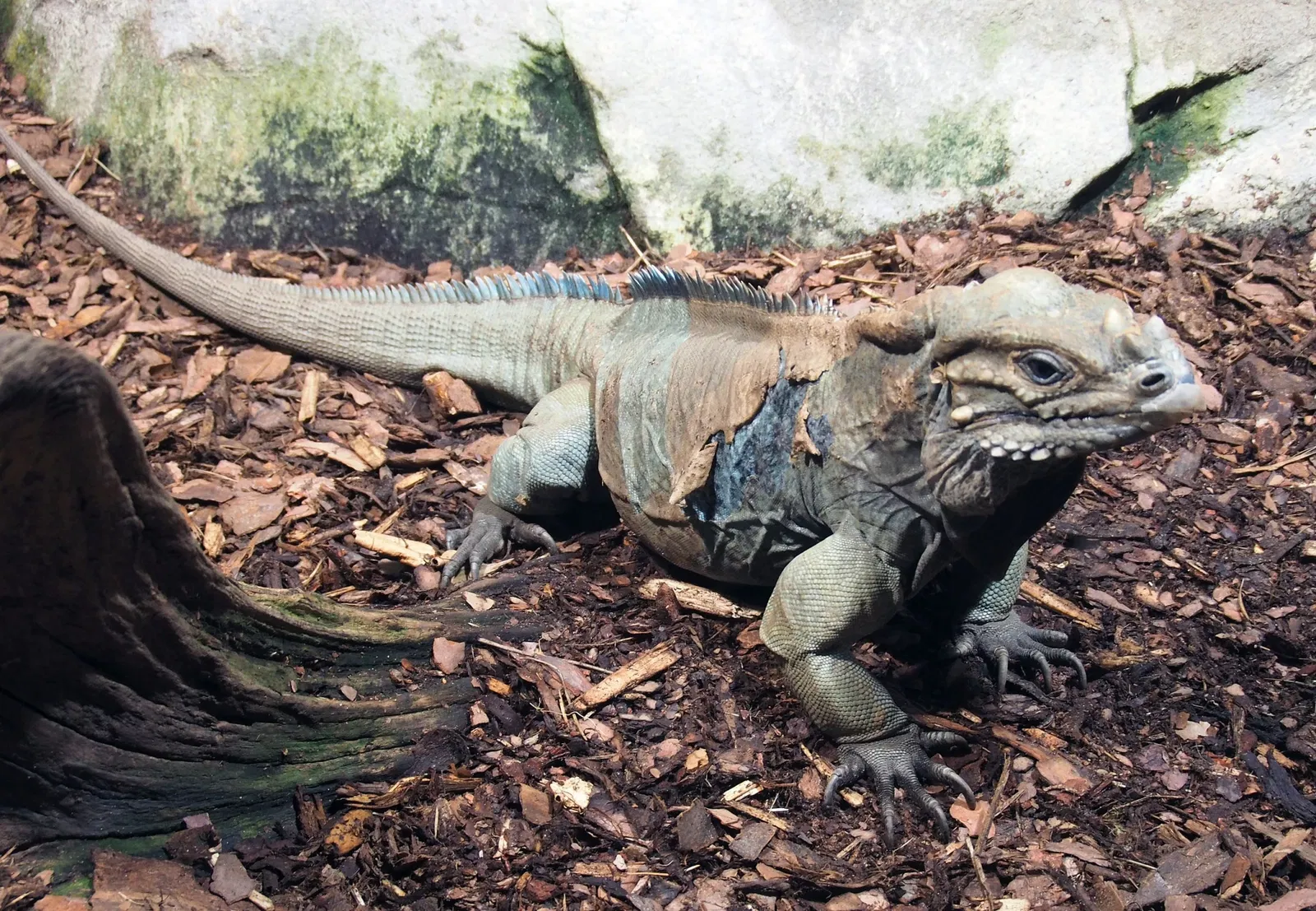 Zoologische Garten Rostock