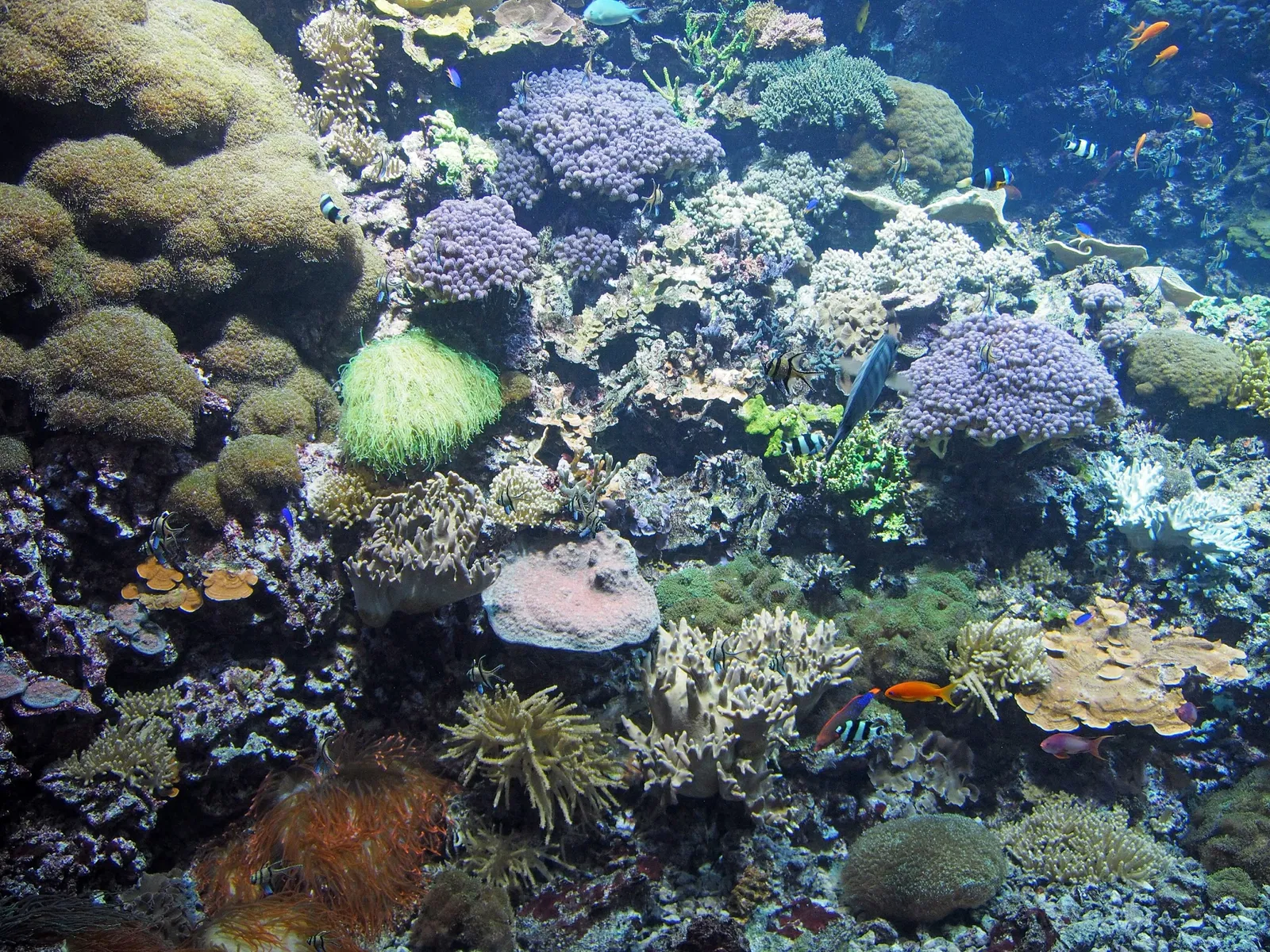Zoologische Garten Rostock