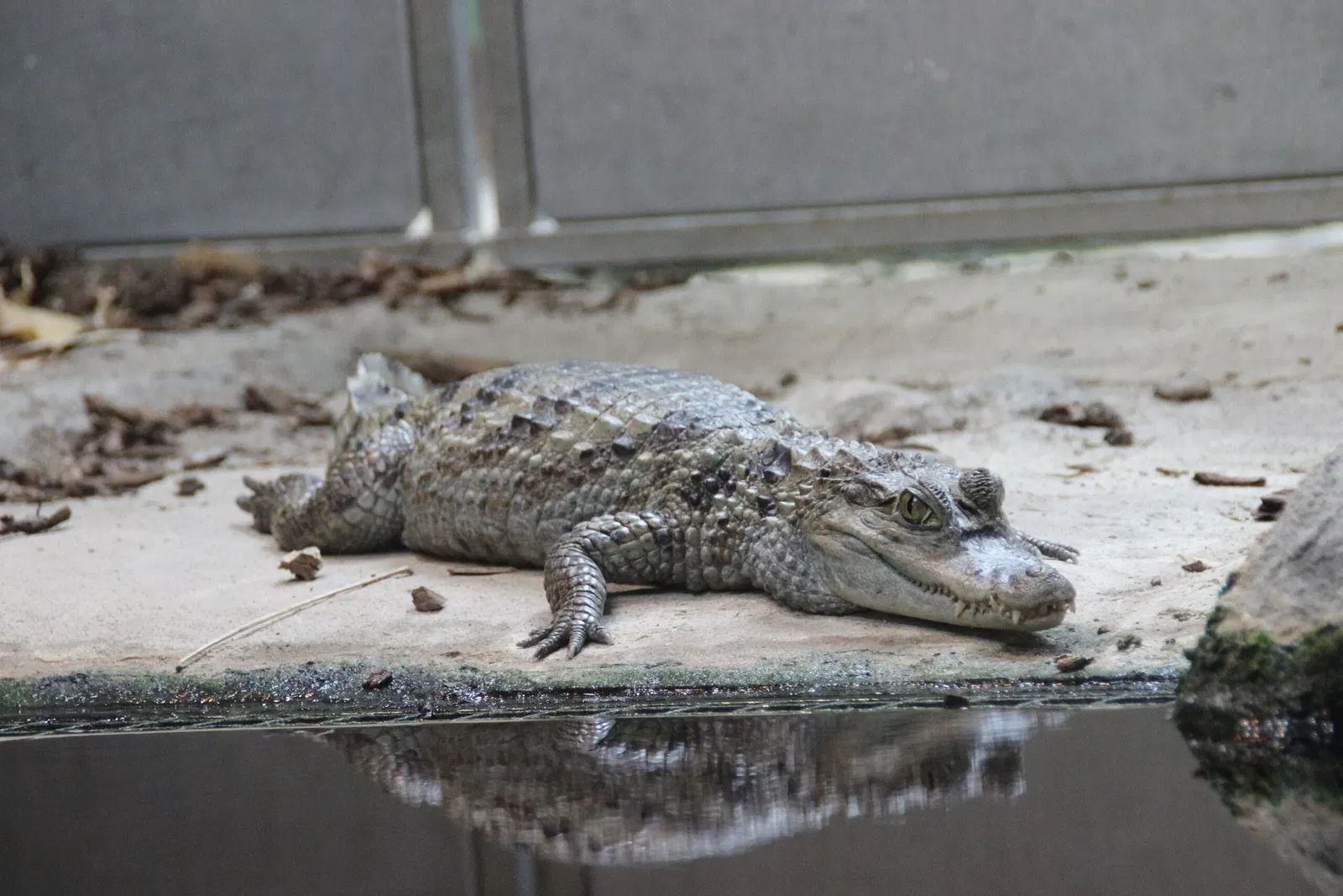 Zoologische Garten Rostock
